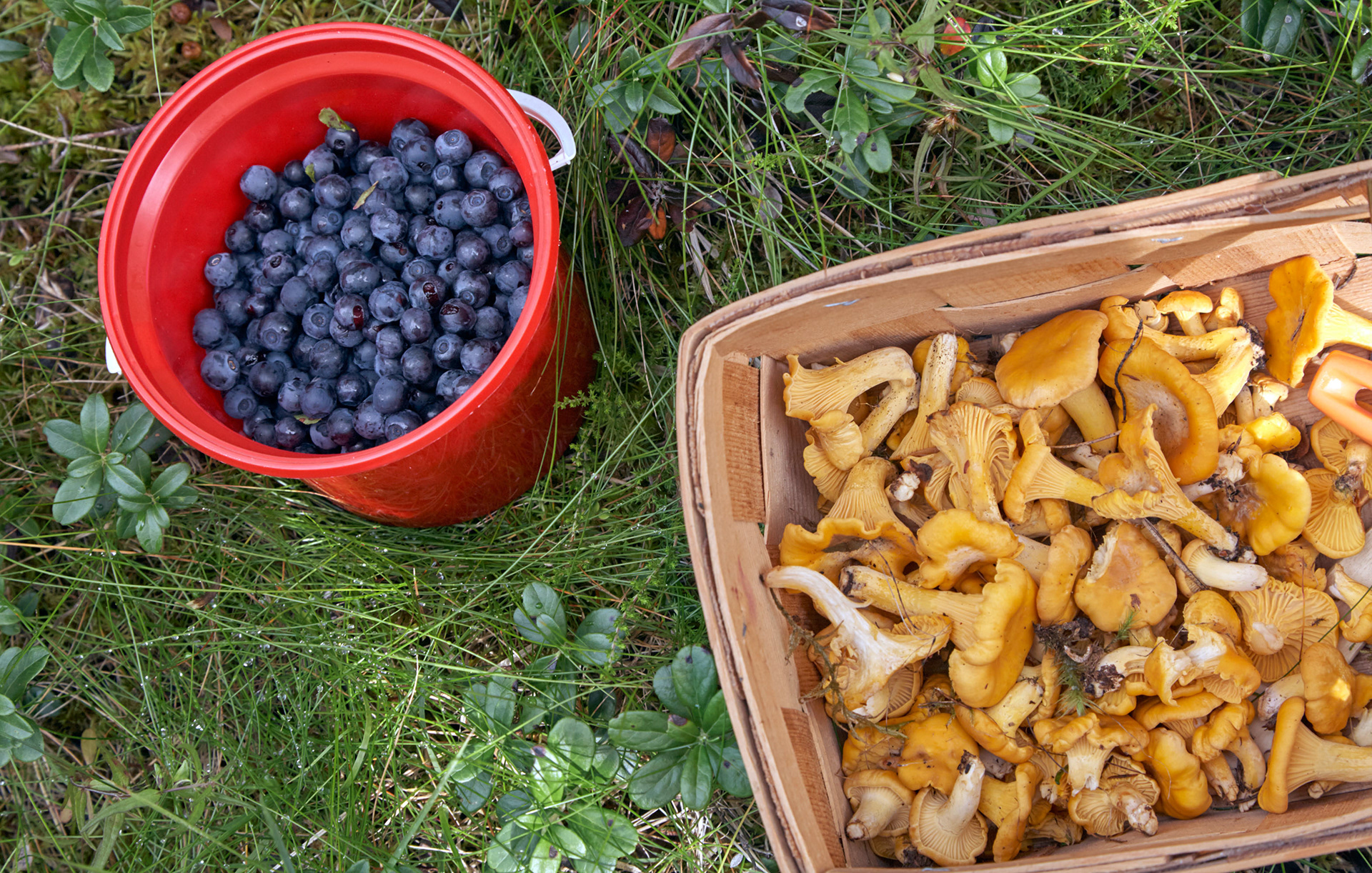 MARIANNE RAFTER IS A FASHION, PORTRAIT AND LIFESTYLE PHOTOGRAPHER BASED IN NEW YORK