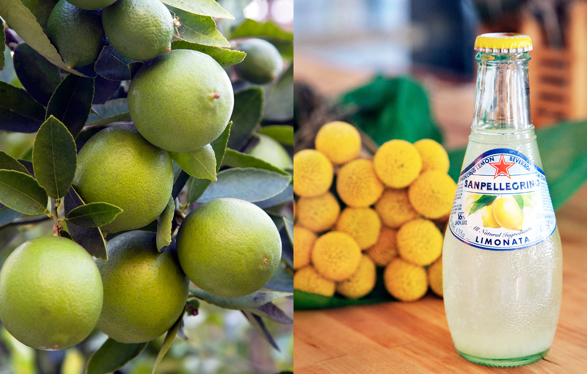 MARIANNE RAFTER IS A FASHION, PORTRAIT AND LIFESTYLE PHOTOGRAPHER BASED IN NEW YORK