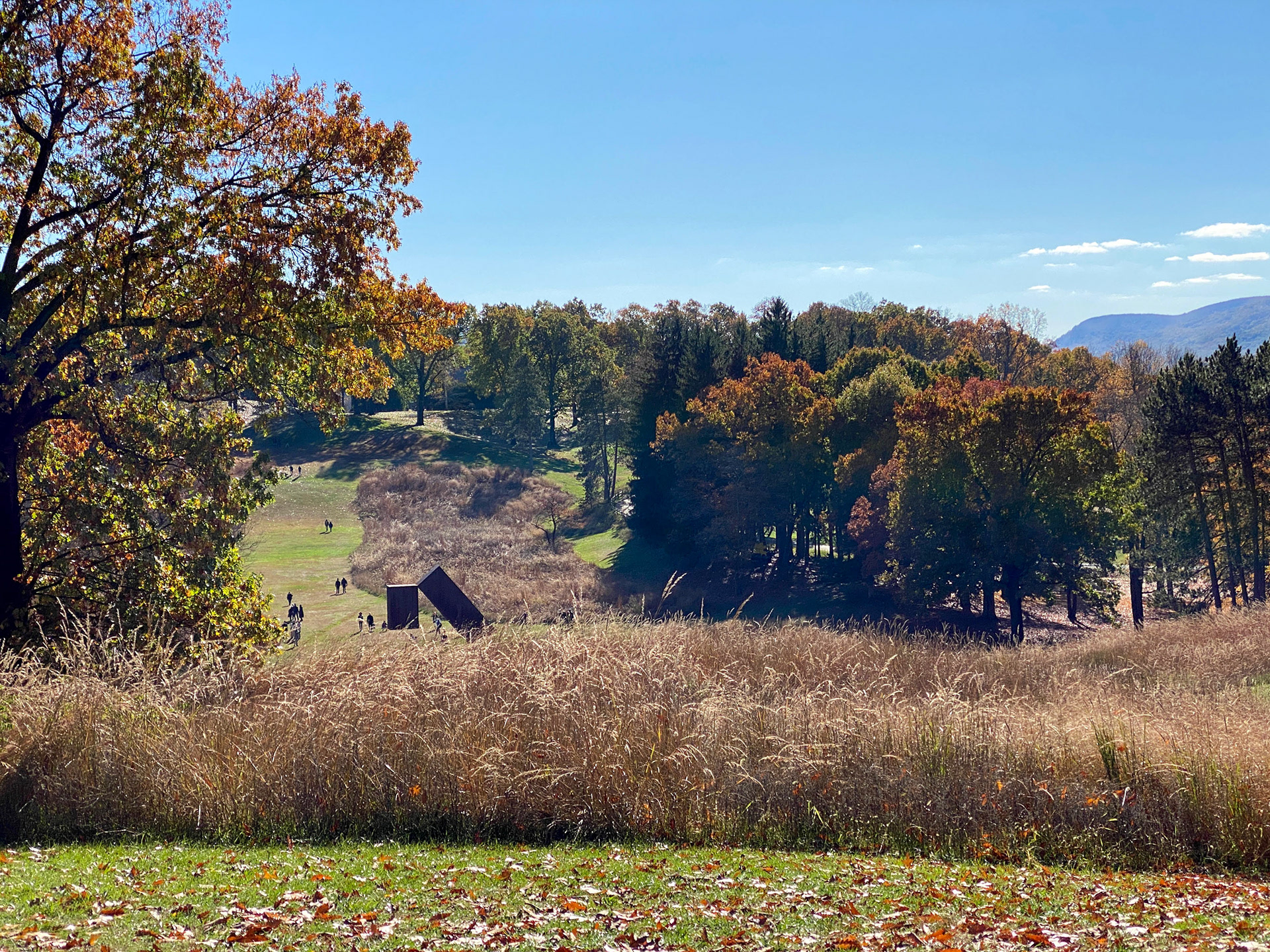 RAFTER IS A PORTRAIT LIFESTYLE PHOTOGRAPHER / DIRECTOR NEW YORK / OSLO