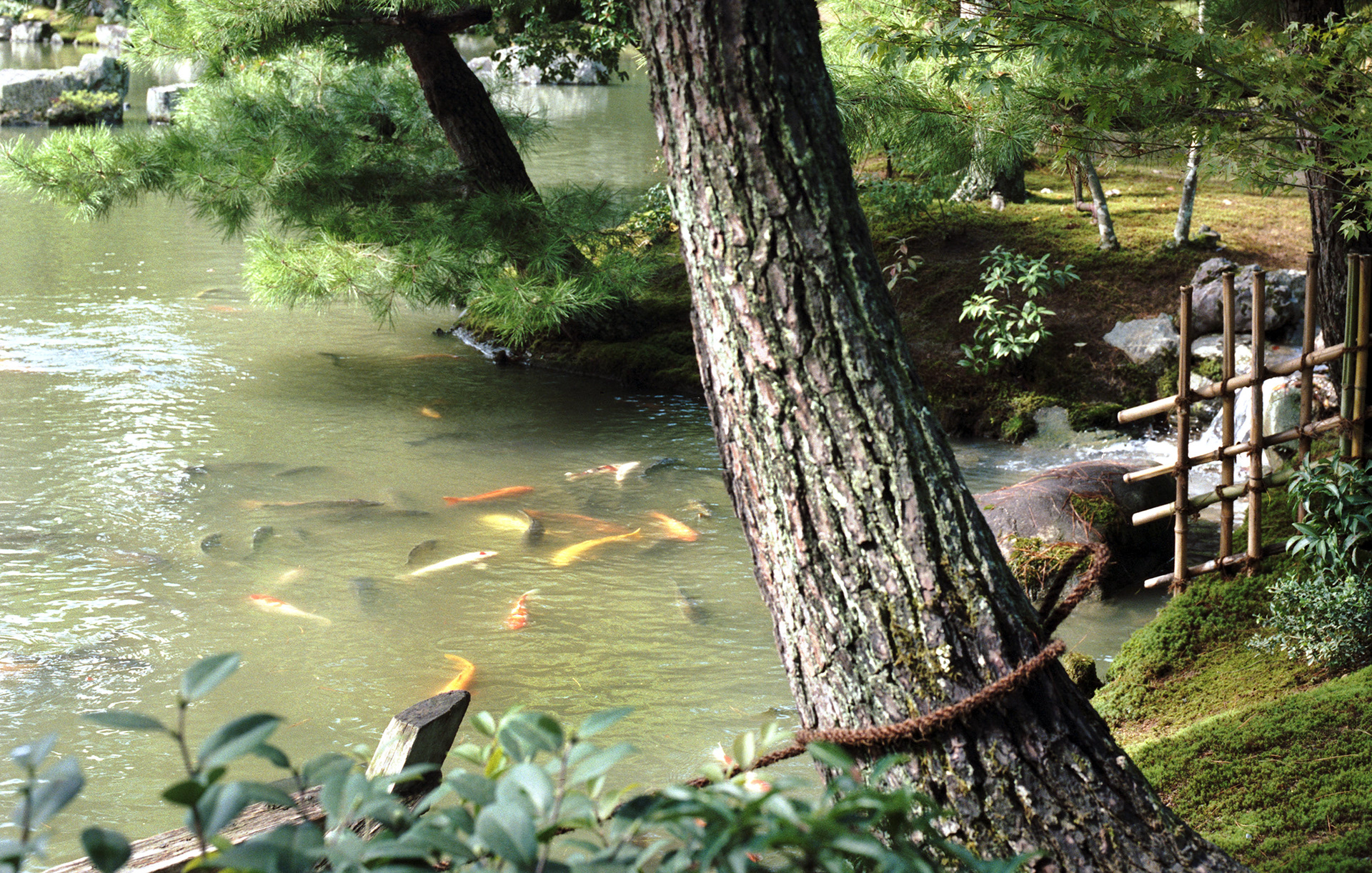 MARIANNE RAFTER IS A FASHION, PORTRAIT AND LIFESTYLE PHOTOGRAPHER BASED IN NEW YORK japan