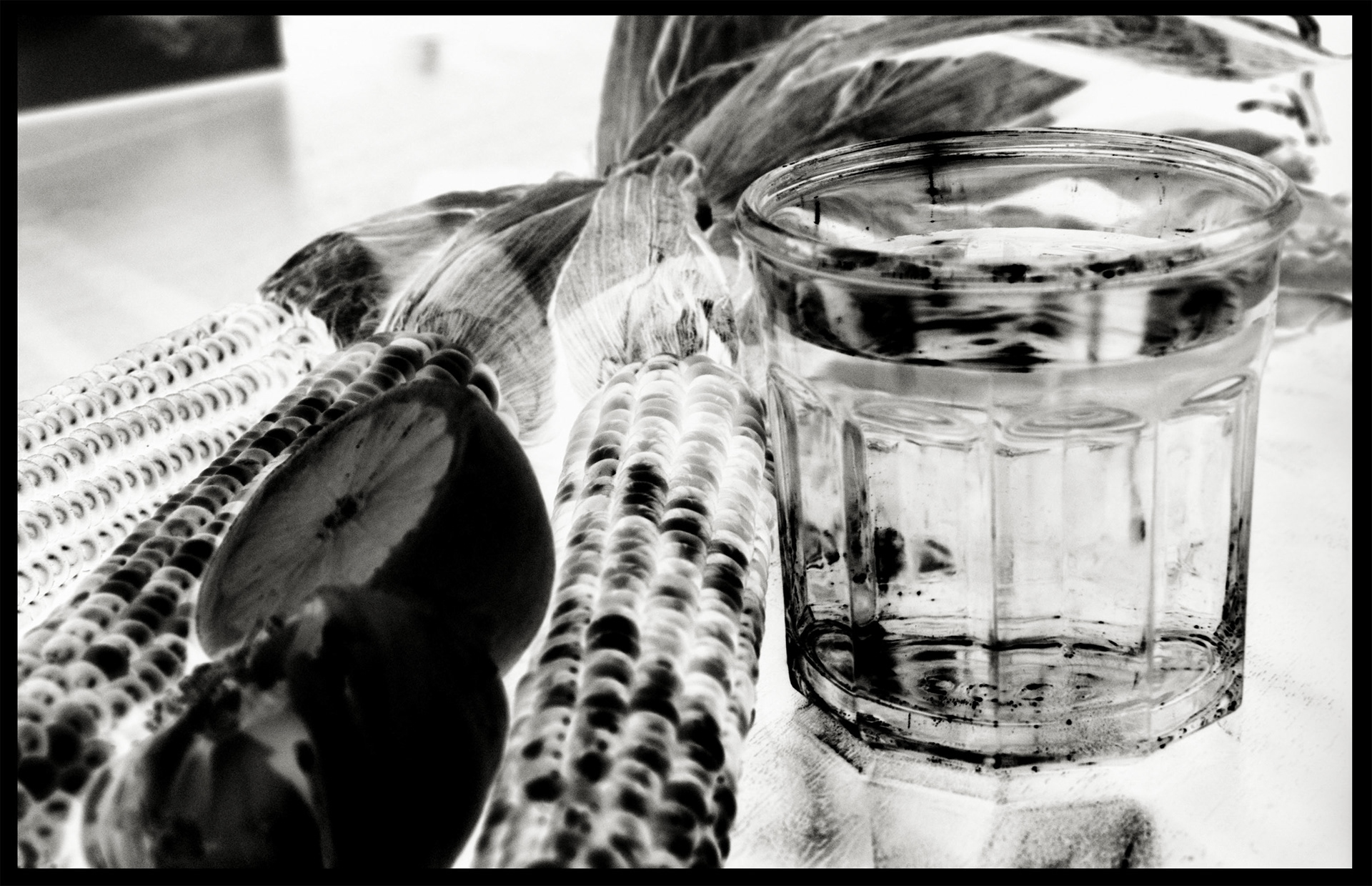 RAFTER IS A PORTRAIT LIFESTYLE PHOTOGRAPHER / DIRECTOR NEW YORK / OSLO