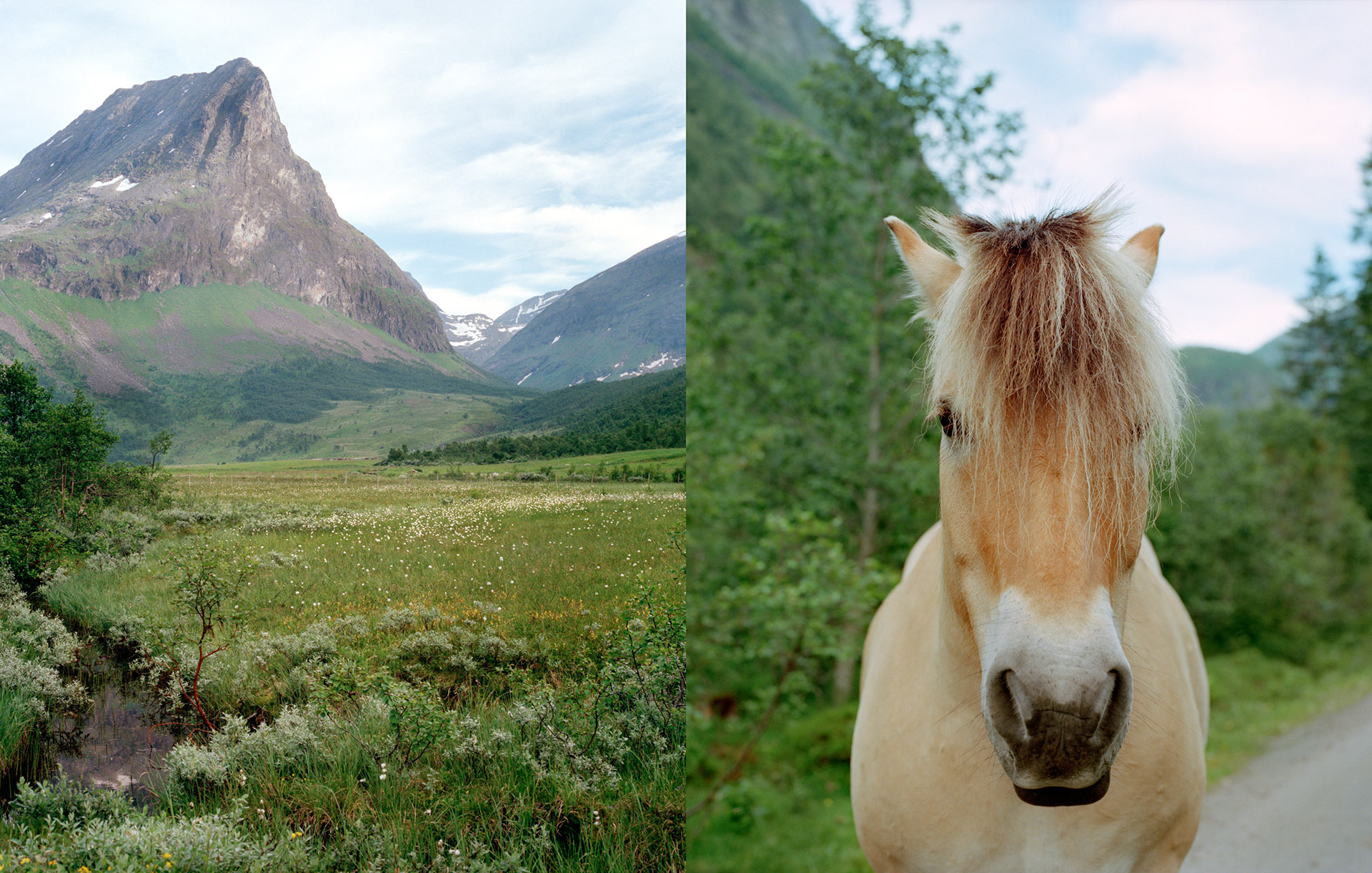 MARIANNE RAFTER IS A FASHION, PORTRAIT AND LIFESTYLE PHOTOGRAPHER BASED IN NEW YORK norwegian fjords mountains