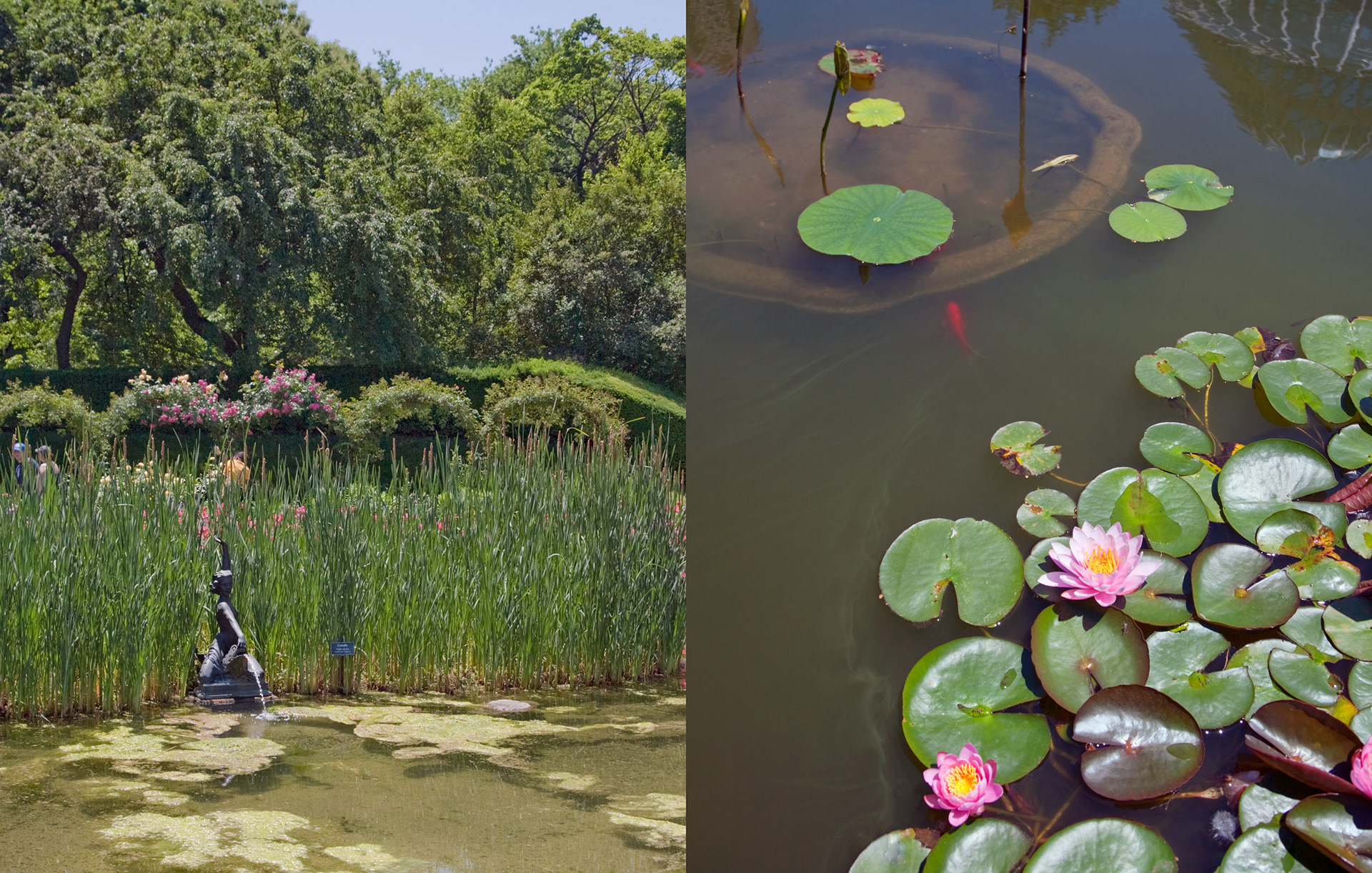 MARIANNE RAFTER IS A FASHION, PORTRAIT AND LIFESTYLE PHOTOGRAPHER BASED IN NEW YORK travel new york city manhattan brooklyn