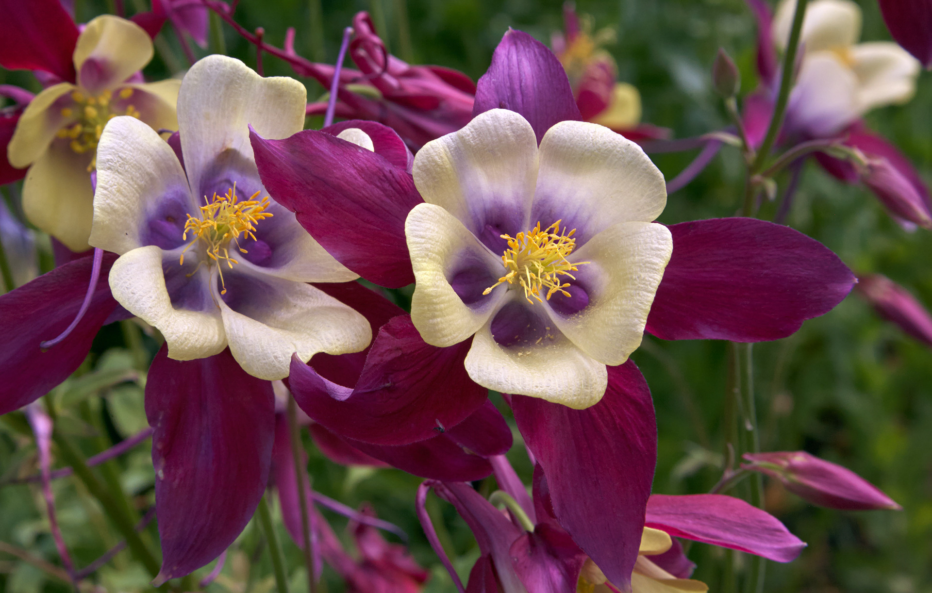 MARIANNE RAFTER IS A FASHION, PORTRAIT AND LIFESTYLE PHOTOGRAPHER BASED IN NEW YORK