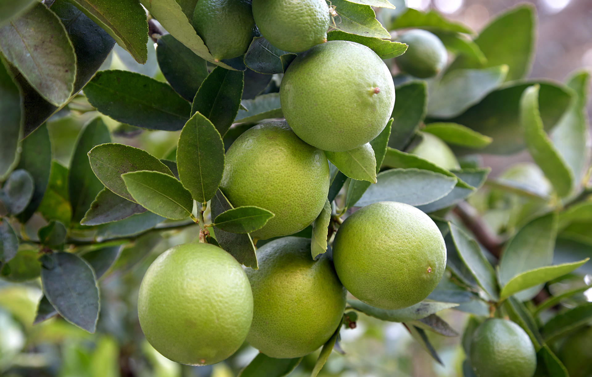 RAFTER IS A PORTRAIT LIFESTYLE PHOTOGRAPHER / DIRECTOR NEW YORK / OSLO