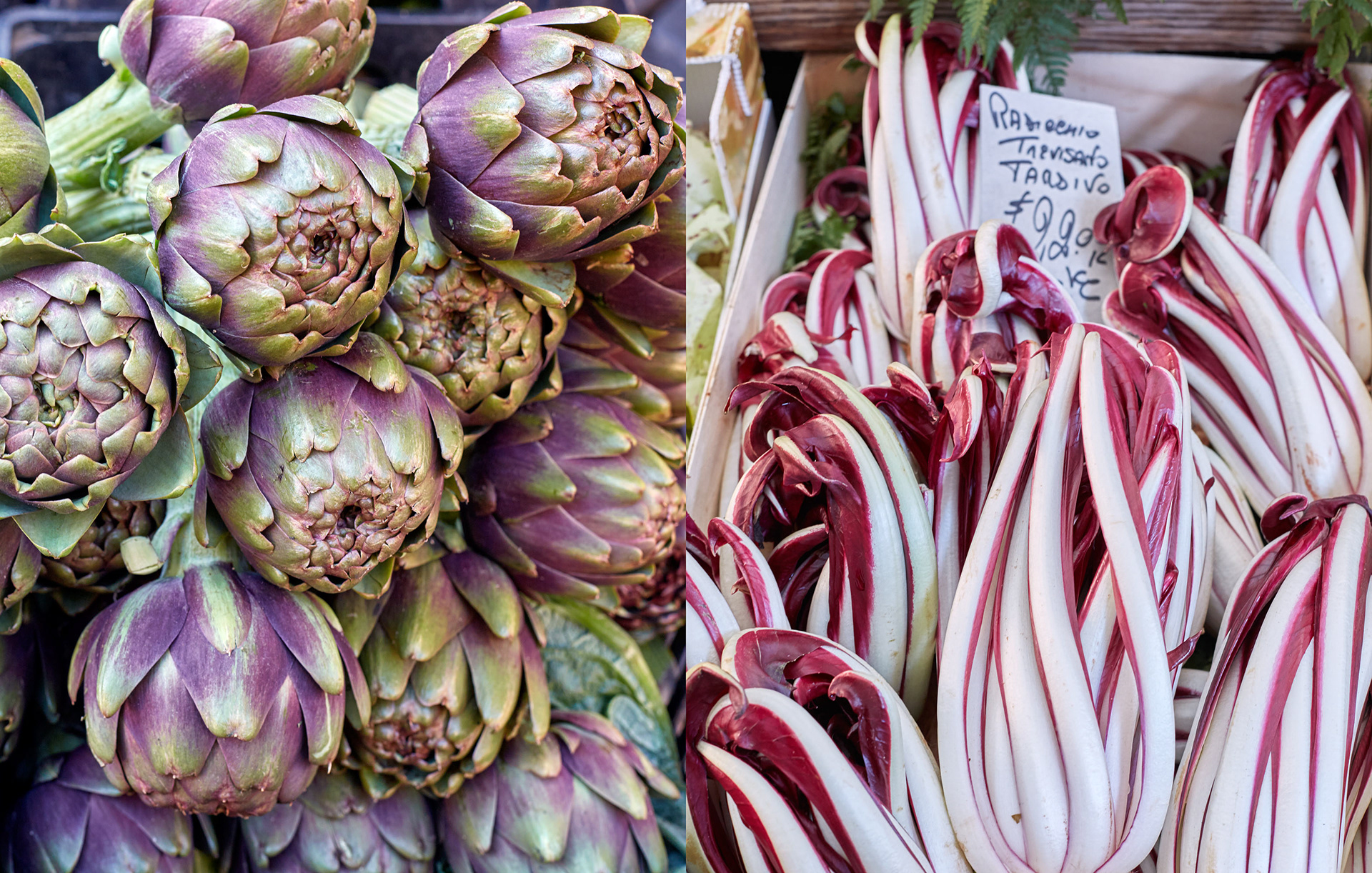 MARIANNE RAFTER IS A FASHION, PORTRAIT AND LIFESTYLE PHOTOGRAPHER BASED IN NEW YORK