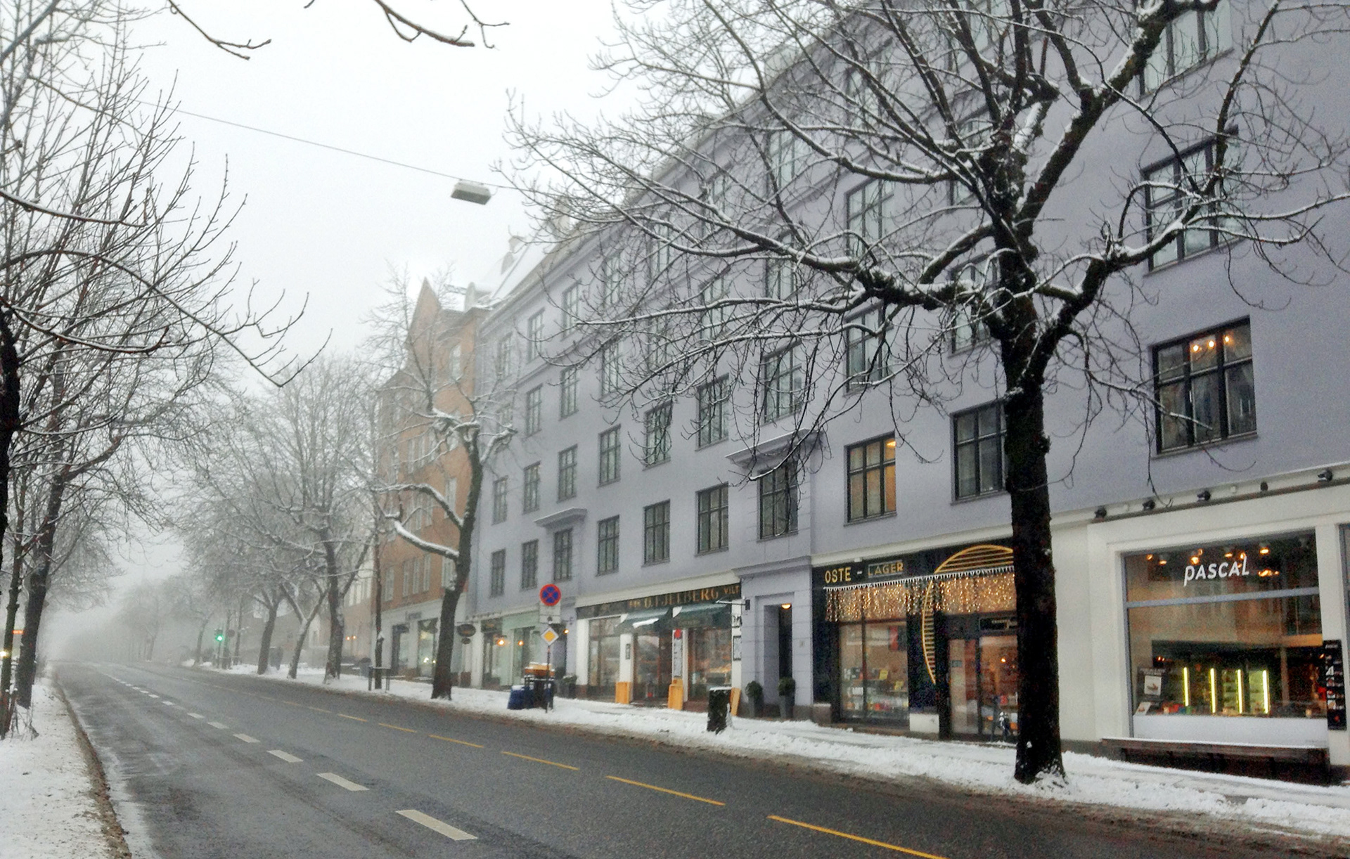 MARIANNE RAFTER IS A FASHION, PORTRAIT AND LIFESTYLE PHOTOGRAPHER BASED IN NEW YORK oslo