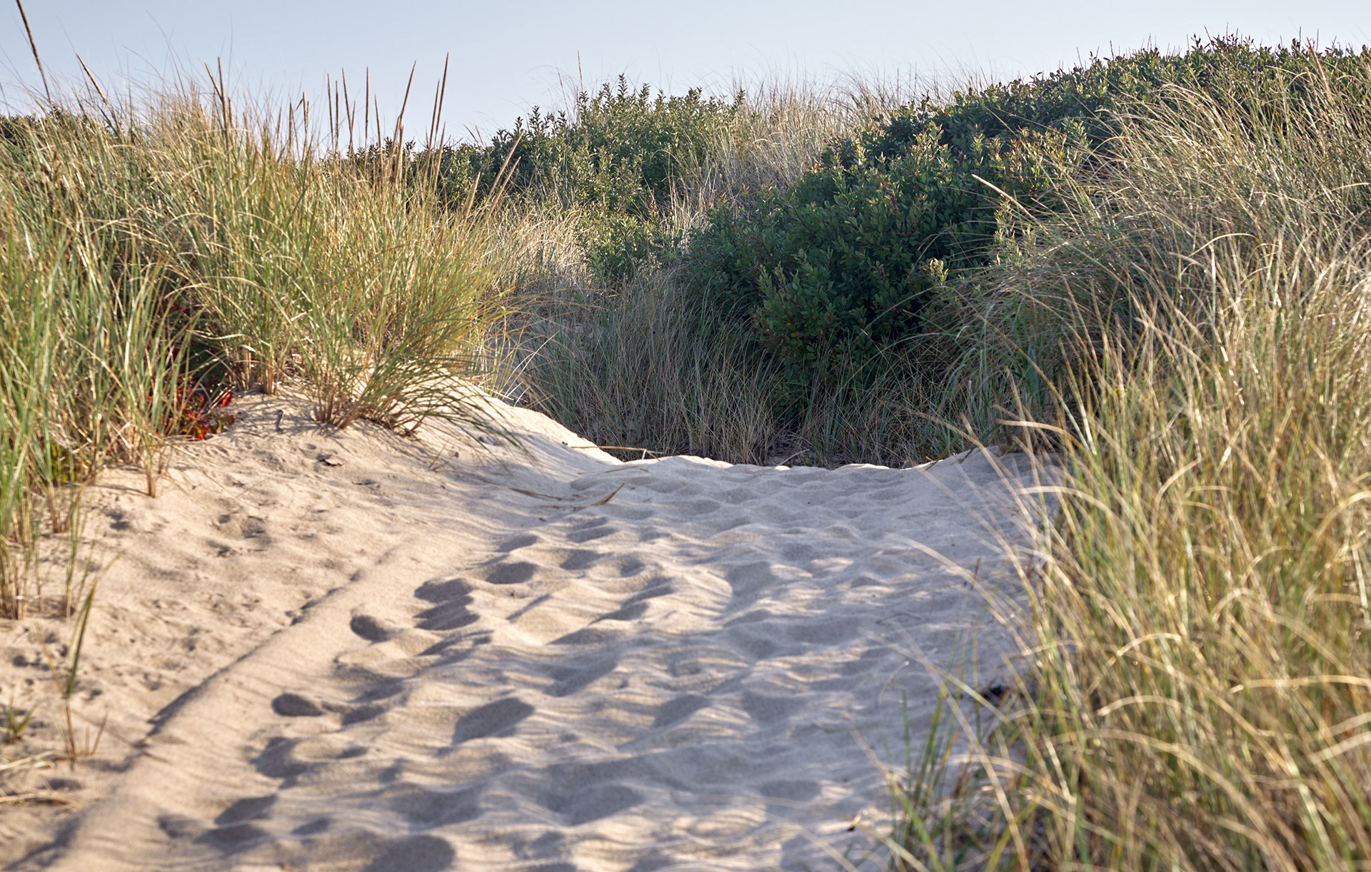 MARIANNE RAFTER IS A FASHION, PORTRAIT AND LIFESTYLE PHOTOGRAPHER BASED IN NEW YORK