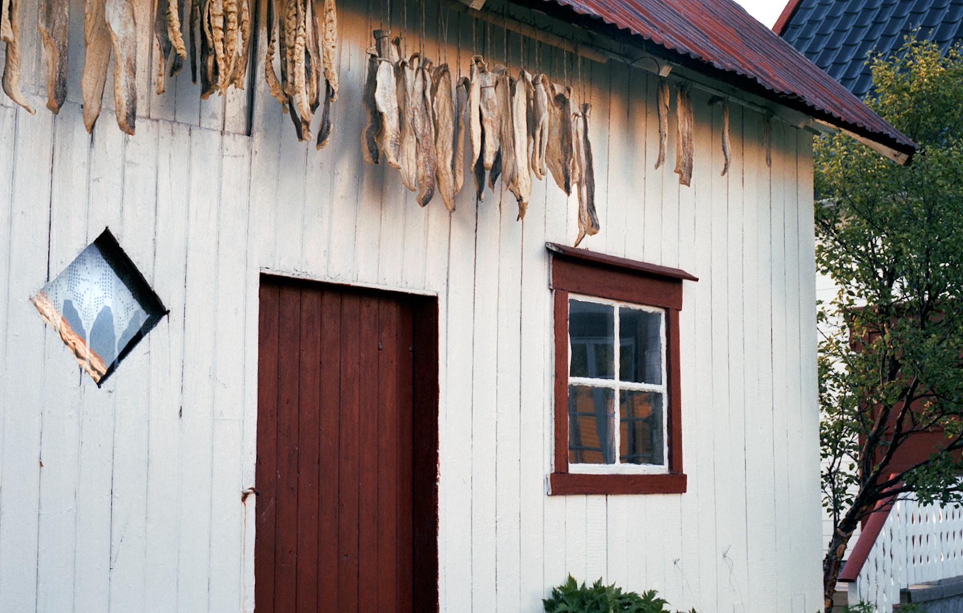 MARIANNE RAFTER IS A FASHION, PORTRAIT AND LIFESTYLE PHOTOGRAPHER NEW YORK