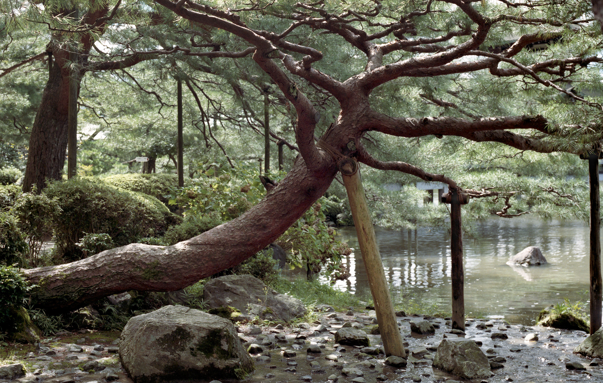 MARIANNE RAFTER IS A FASHION, PORTRAIT AND LIFESTYLE PHOTOGRAPHER BASED IN NEW YORK japan