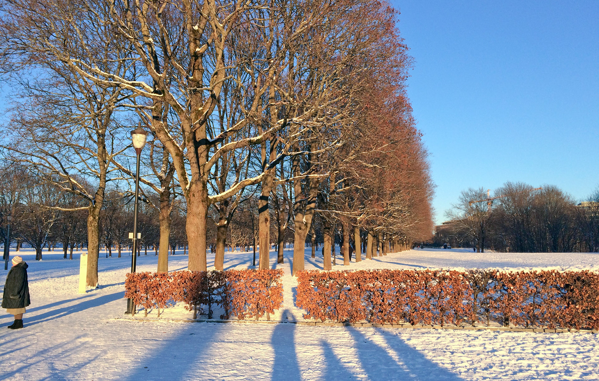 MARIANNE RAFTER IS A FASHION, PORTRAIT AND LIFESTYLE PHOTOGRAPHER BASED IN NEW YORK oslo