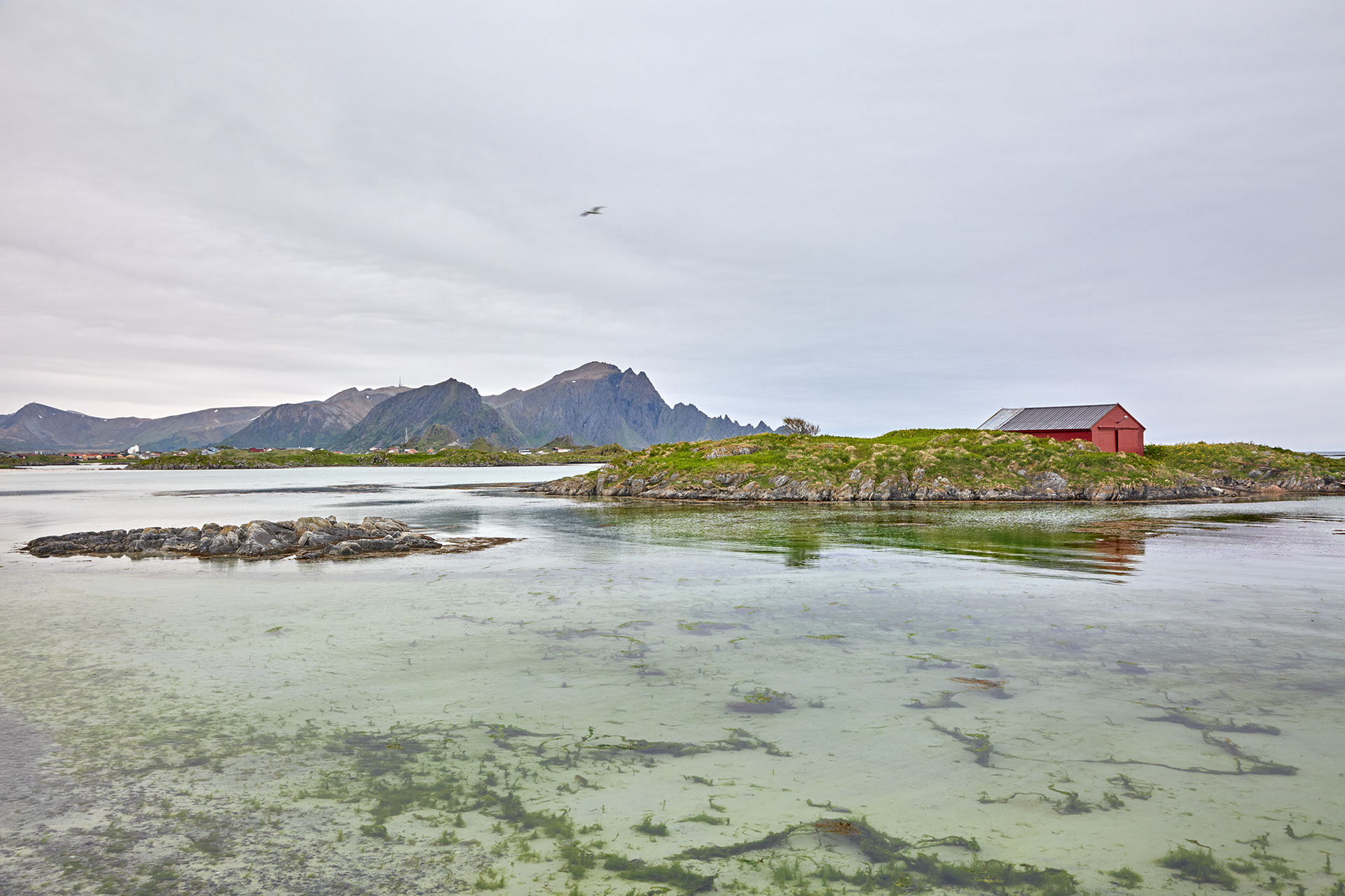 MARIANNE RAFTER IS A FASHION, PORTRAIT AND LIFESTYLE PHOTOGRAPHER NEW YORK