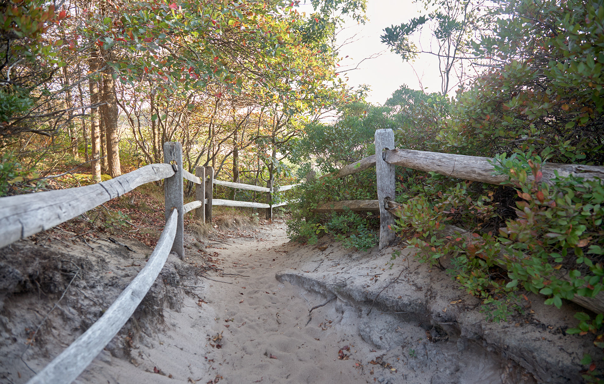 MARIANNE RAFTER IS A FASHION, PORTRAIT AND LIFESTYLE PHOTOGRAPHER BASED IN NEW YORK