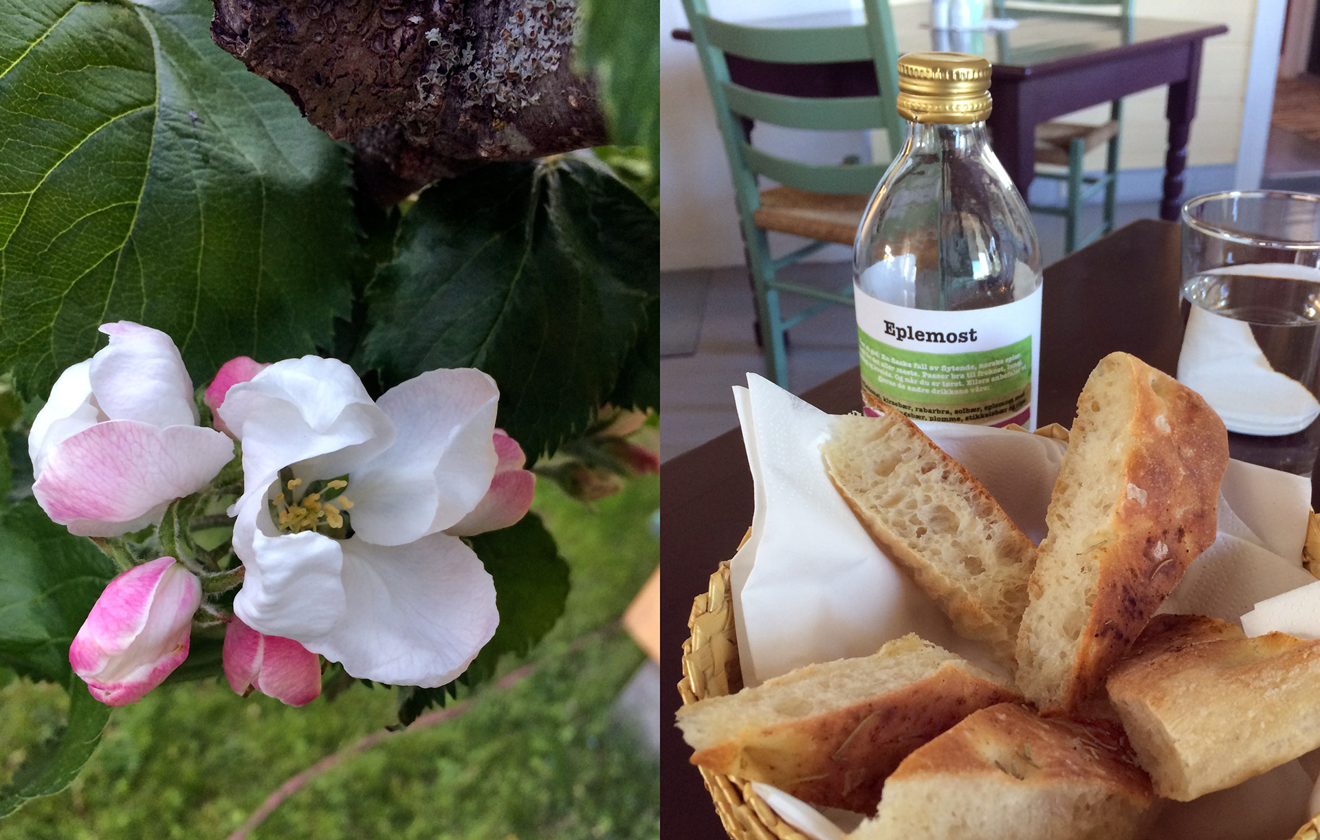 MARIANNE RAFTER IS A FASHION, PORTRAIT AND LIFESTYLE PHOTOGRAPHER NEW YORK