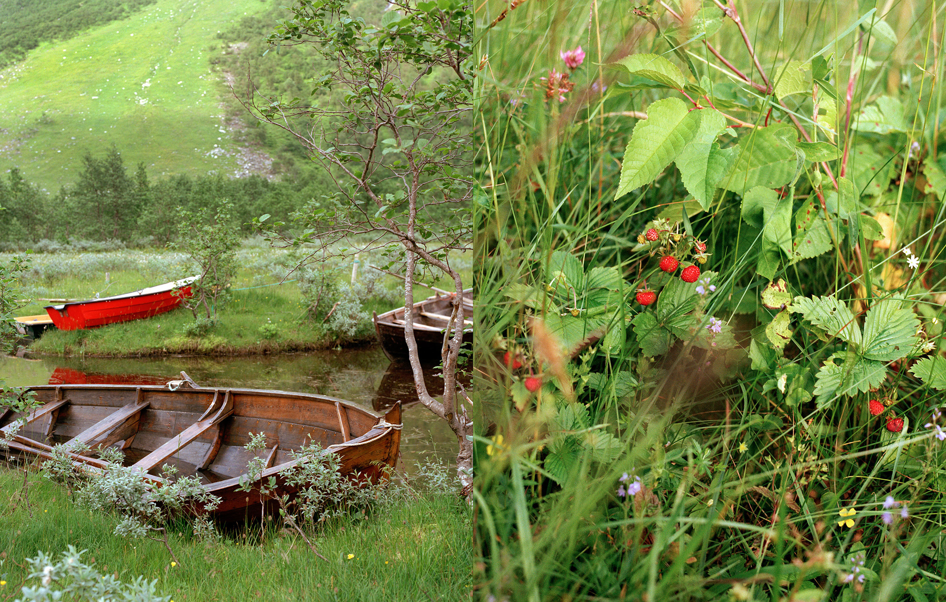 MARIANNE RAFTER IS A FASHION, PORTRAIT AND LIFESTYLE PHOTOGRAPHER BASED IN NEW YORK norwegian fjords mountains