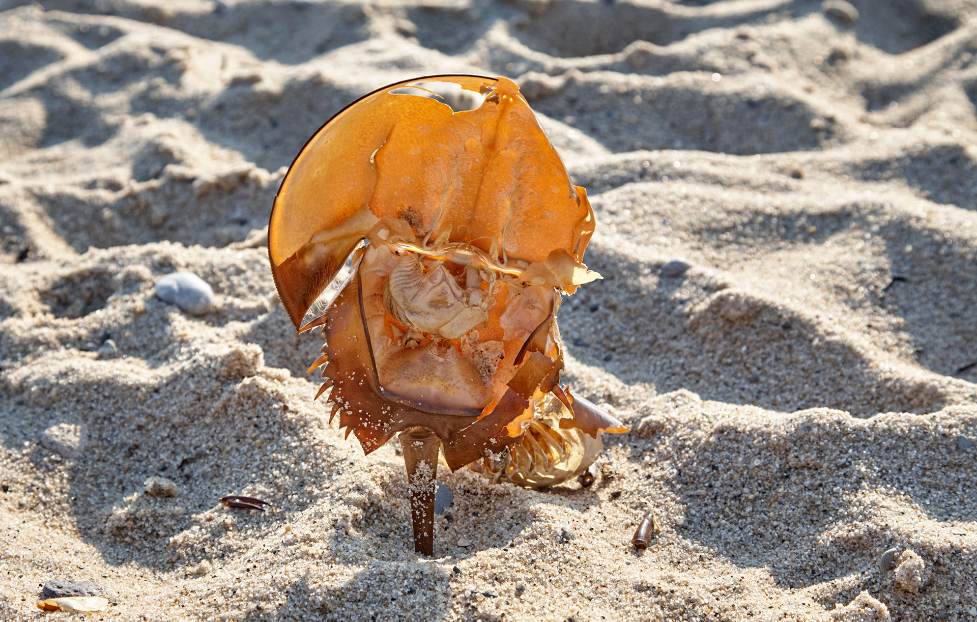 MARIANNE RAFTER IS A FASHION, PORTRAIT AND LIFESTYLE PHOTOGRAPHER BASED IN NEW YORK