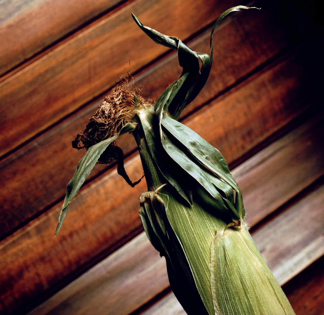 RAFTER IS A PORTRAIT LIFESTYLE PHOTOGRAPHER / DIRECTOR NEW YORK / OSLO