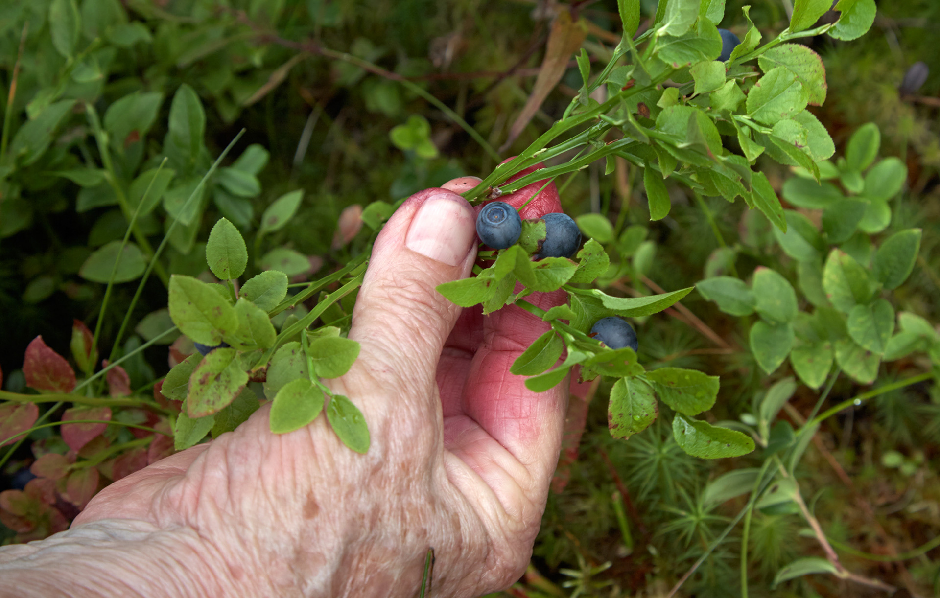 MARIANNE RAFTER IS A FASHION, PORTRAIT AND LIFESTYLE PHOTOGRAPHER BASED IN NEW YORK