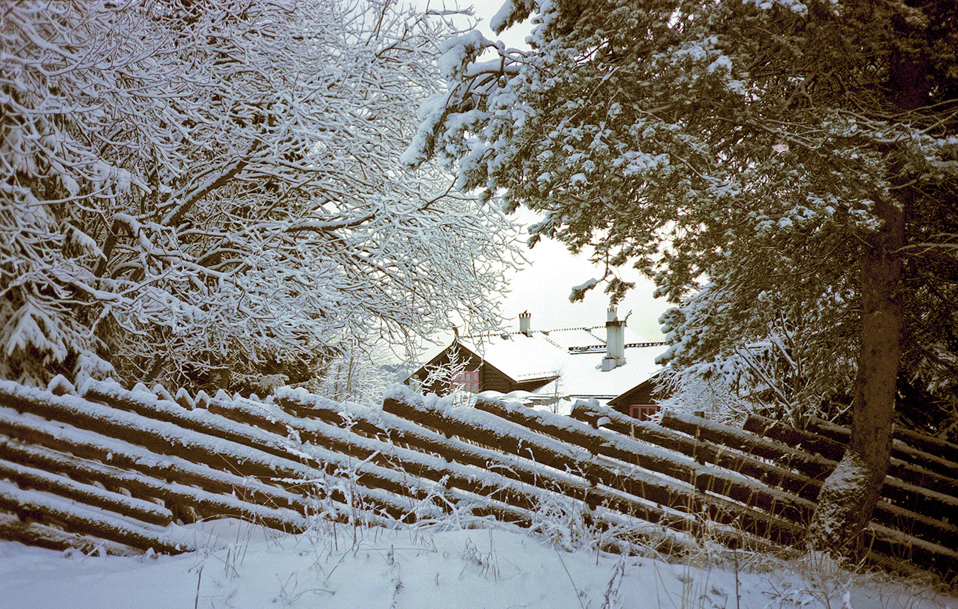 MARIANNE RAFTER IS A PORTRAIT, TRAVEL, LIFESTYLE PHOTOGRAPHER / DIRECTOR NEW YORK NORWAY