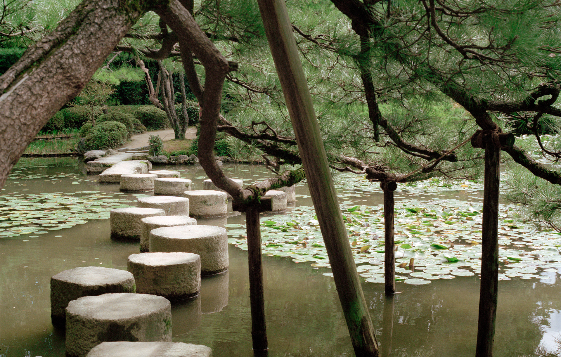 MARIANNE RAFTER IS A FASHION, PORTRAIT AND LIFESTYLE PHOTOGRAPHER BASED IN NEW YORK japan