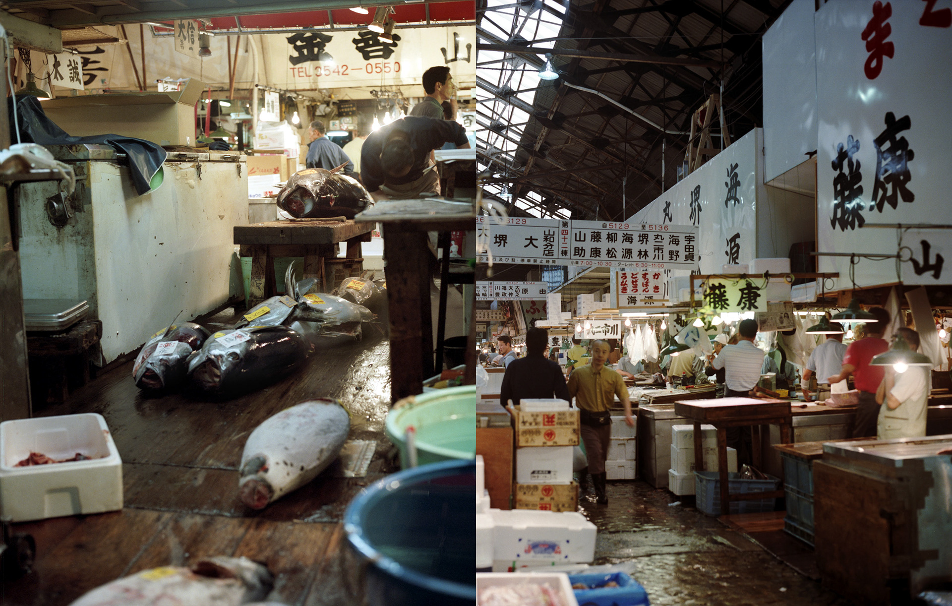 MARIANNE RAFTER IS A FASHION, PORTRAIT AND LIFESTYLE PHOTOGRAPHER BASED IN NEW YORK tsukiji tokyo fish market