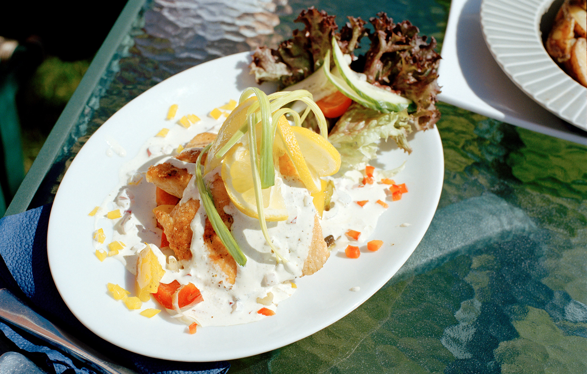 MARIANNE RAFTER IS A FASHION, PORTRAIT AND LIFESTYLE PHOTOGRAPHER NEW YORK