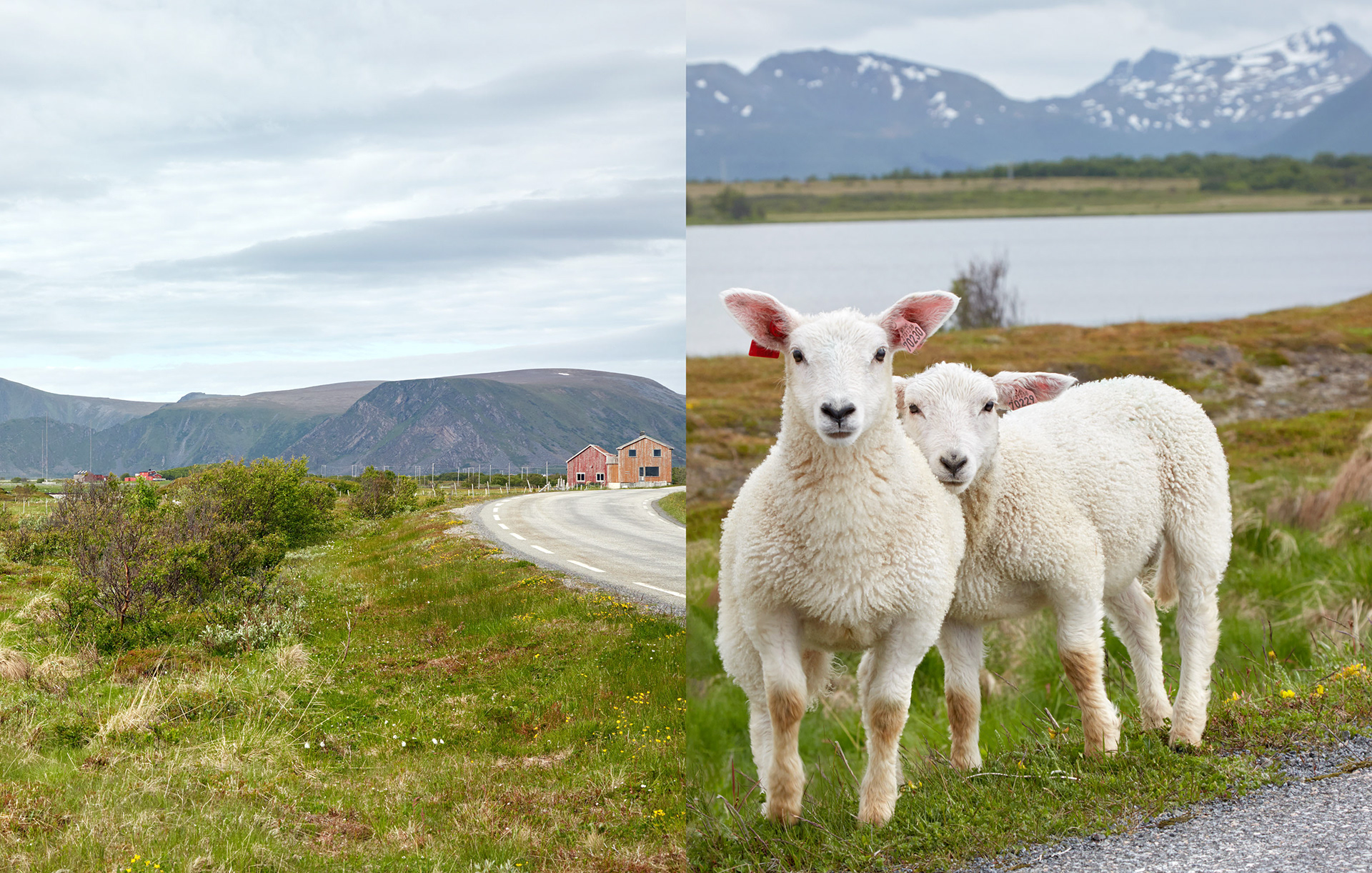 MARIANNE RAFTER IS A FASHION, PORTRAIT AND LIFESTYLE PHOTOGRAPHER NEW YORK