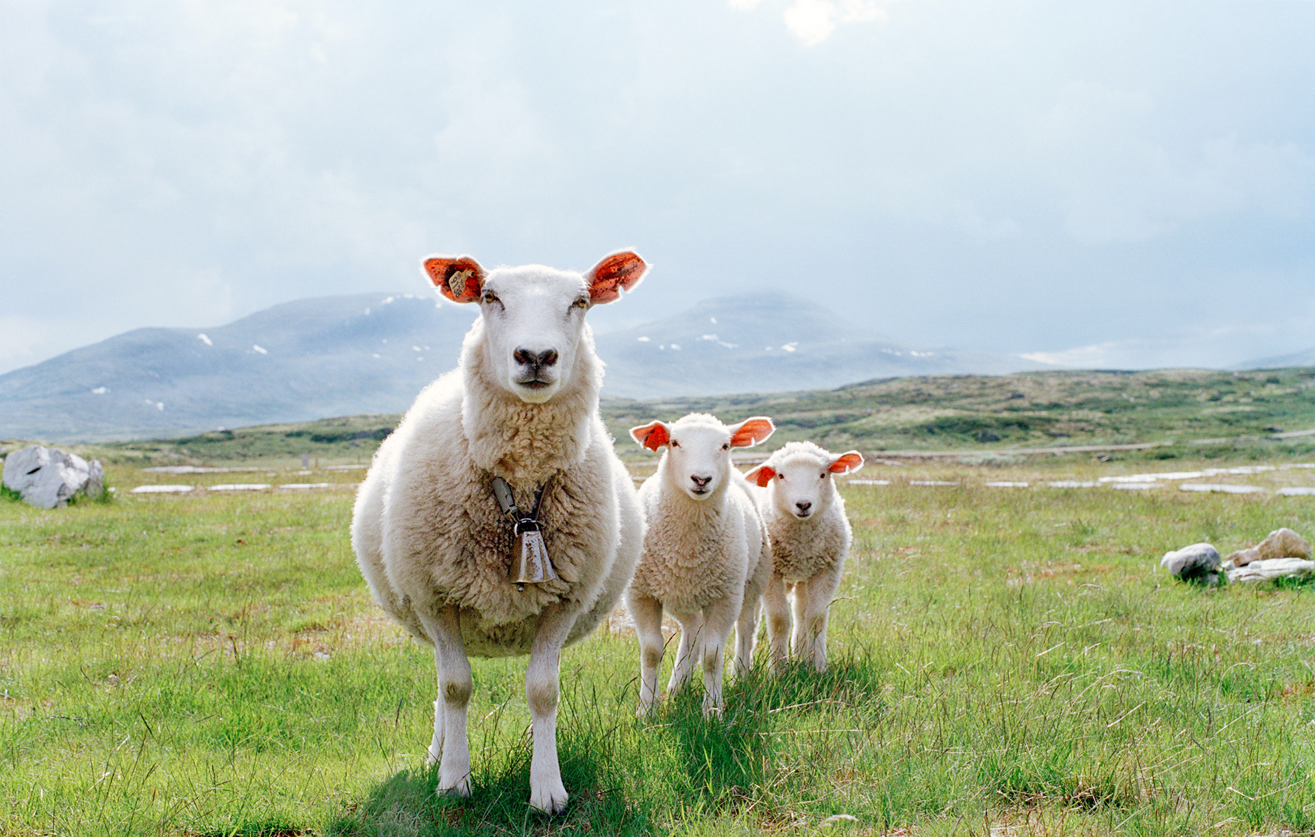 MARIANNE RAFTER IS A FASHION, PORTRAIT AND LIFESTYLE PHOTOGRAPHER BASED IN NEW YORK norwegian fjords mountains