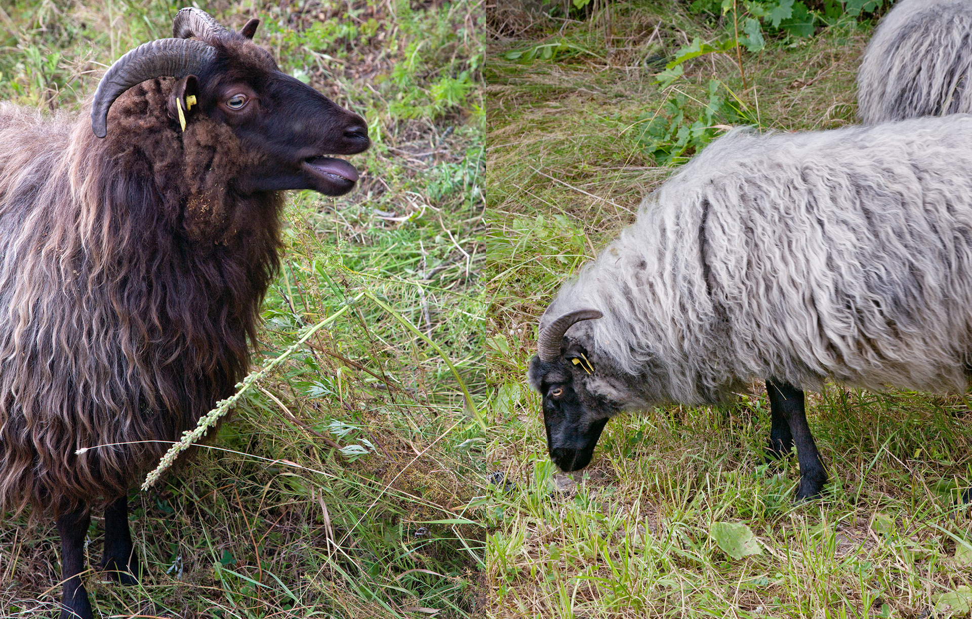 MARIANNE RAFTER IS A FASHION, PORTRAIT AND LIFESTYLE PHOTOGRAPHER BASED IN NEW YORK oslo