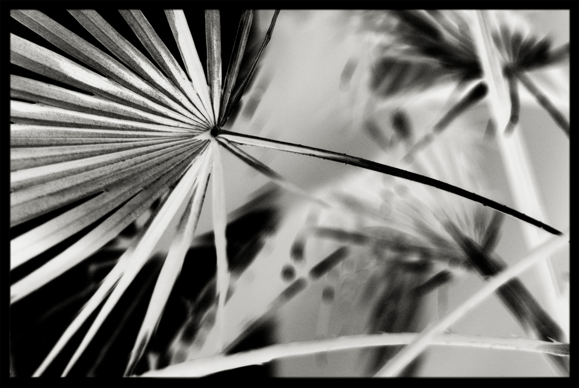 RAFTER IS A PORTRAIT LIFESTYLE PHOTOGRAPHER / DIRECTOR NEW YORK / OSLO