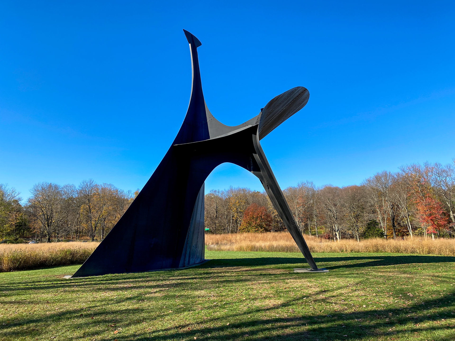 RAFTER IS A PORTRAIT LIFESTYLE PHOTOGRAPHER / DIRECTOR NEW YORK / OSLO