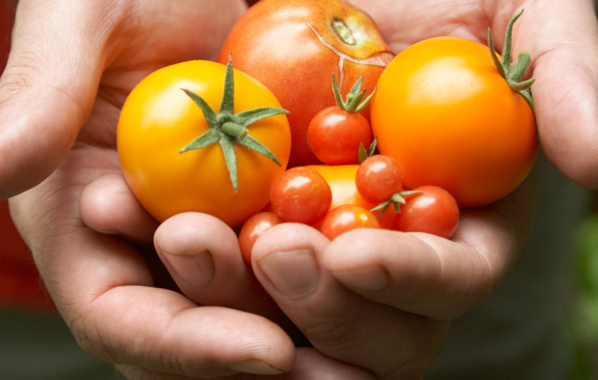 MARIANNE RAFTER IS A FASHION, PORTRAIT AND LIFESTYLE PHOTOGRAPHER BASED IN NEW YORK eating well