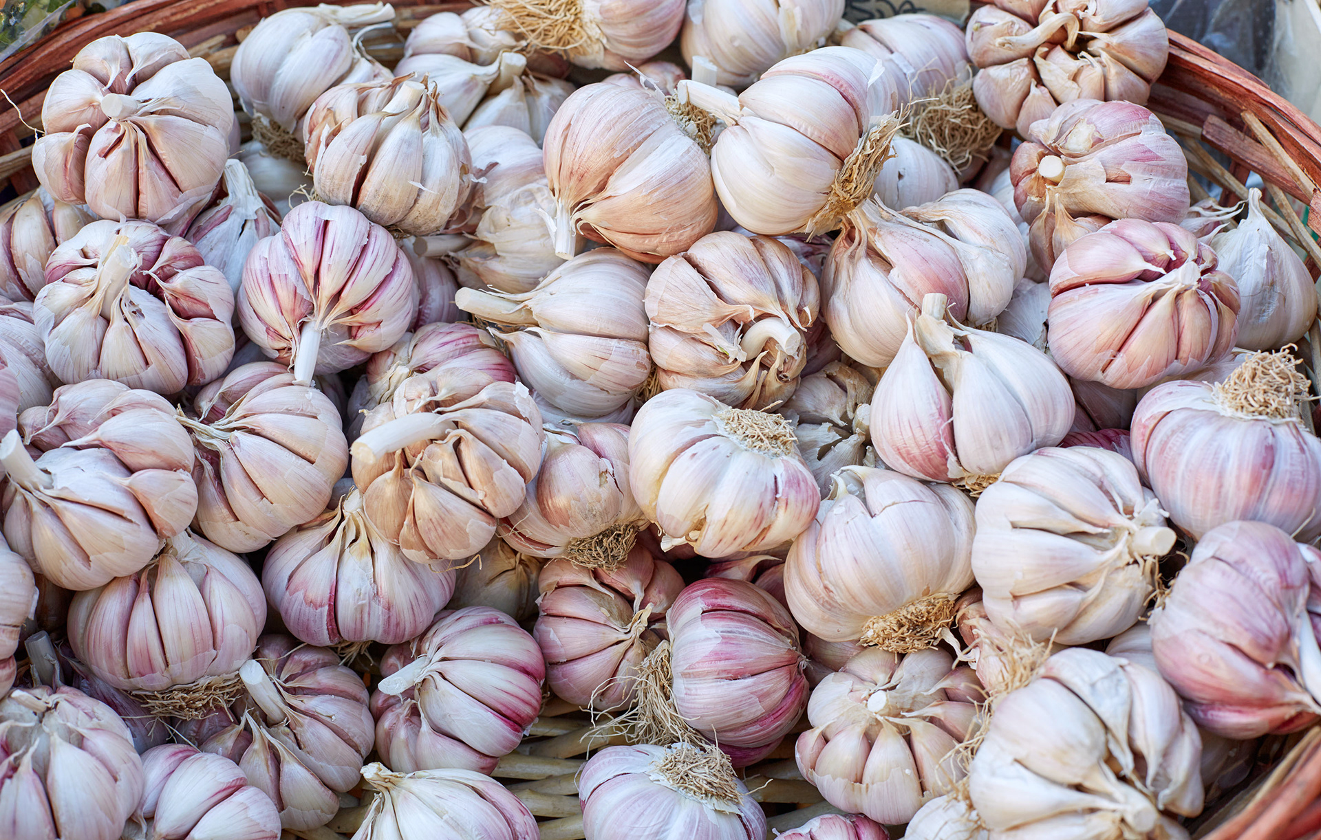 MARIANNE RAFTER IS A FASHION, PORTRAIT AND LIFESTYLE PHOTOGRAPHER BASED IN NEW YORK