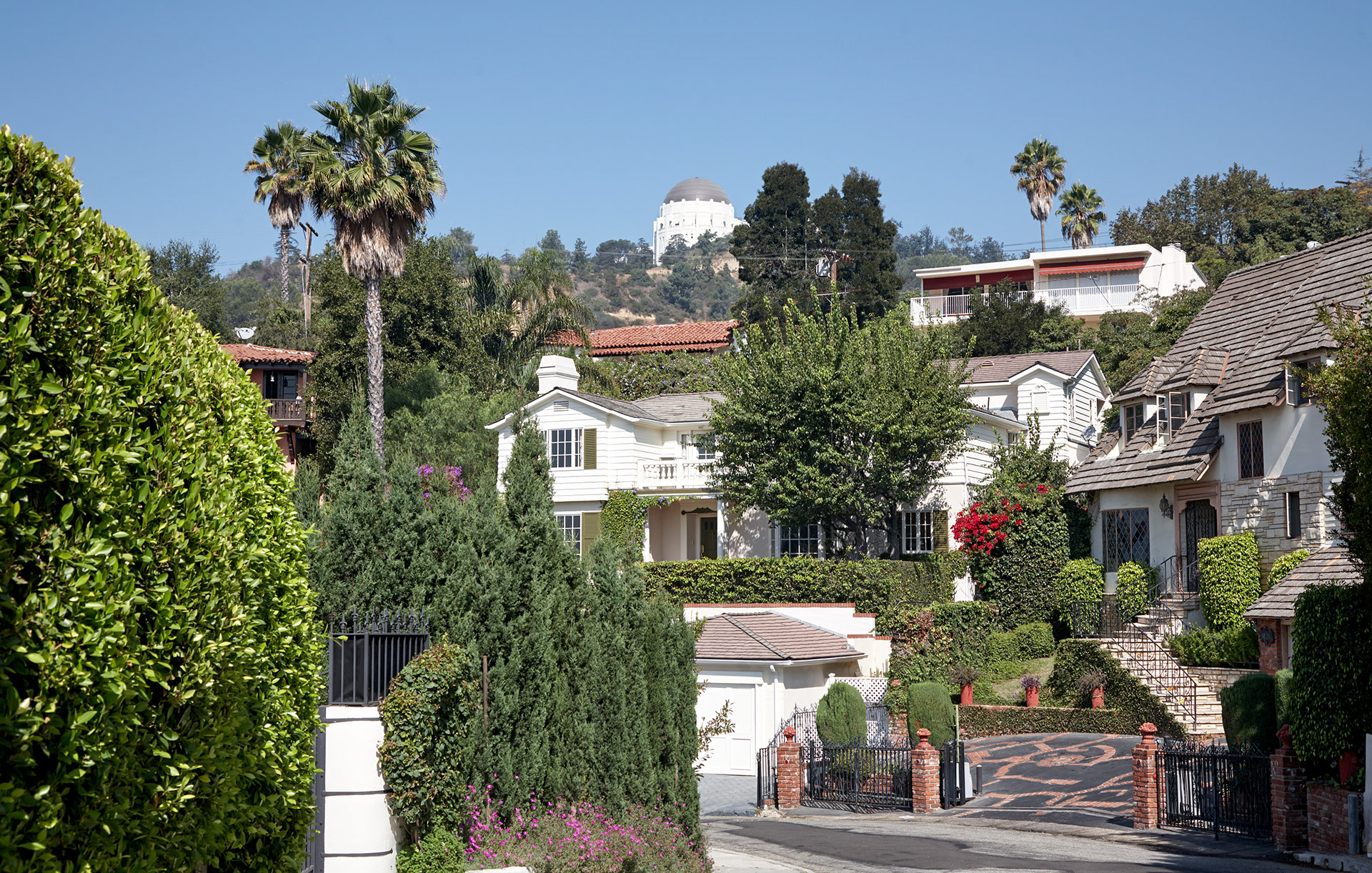 RAFTER IS A PORTRAIT LIFESTYLE PHOTOGRAPHER / DIRECTOR NEW YORK / OSLO