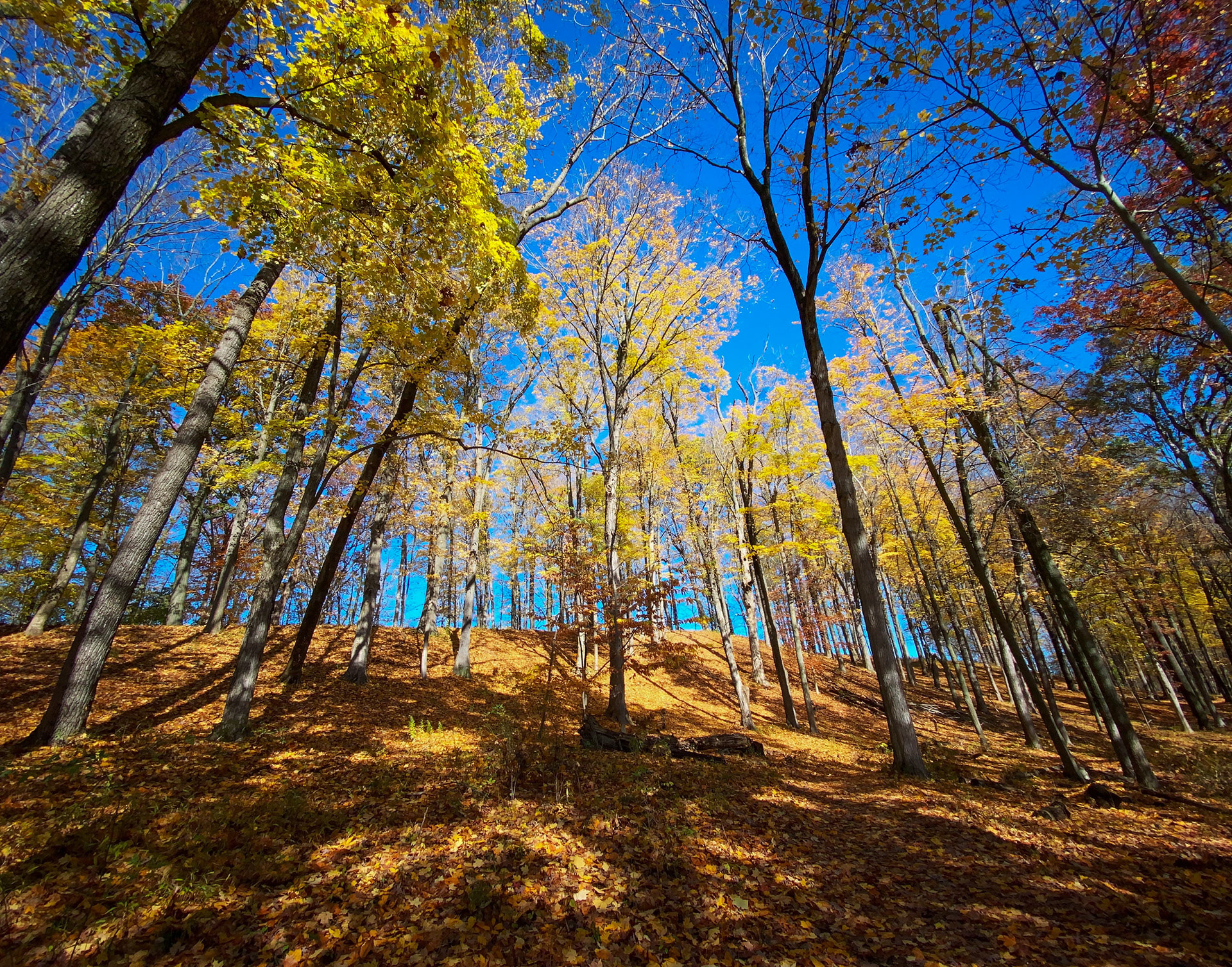 RAFTER IS A PORTRAIT LIFESTYLE PHOTOGRAPHER / DIRECTOR NEW YORK / OSLO