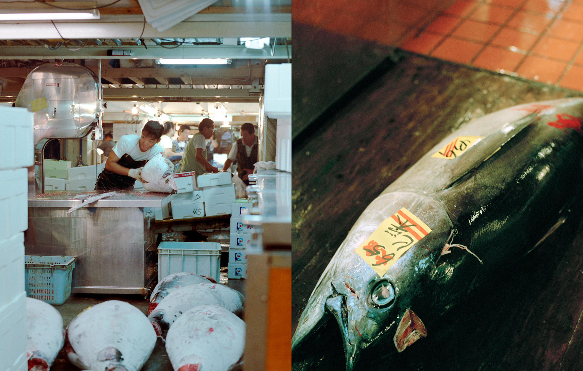 MARIANNE RAFTER IS A FASHION, PORTRAIT AND LIFESTYLE PHOTOGRAPHER BASED IN NEW YORK tsukiji tokyo fish market