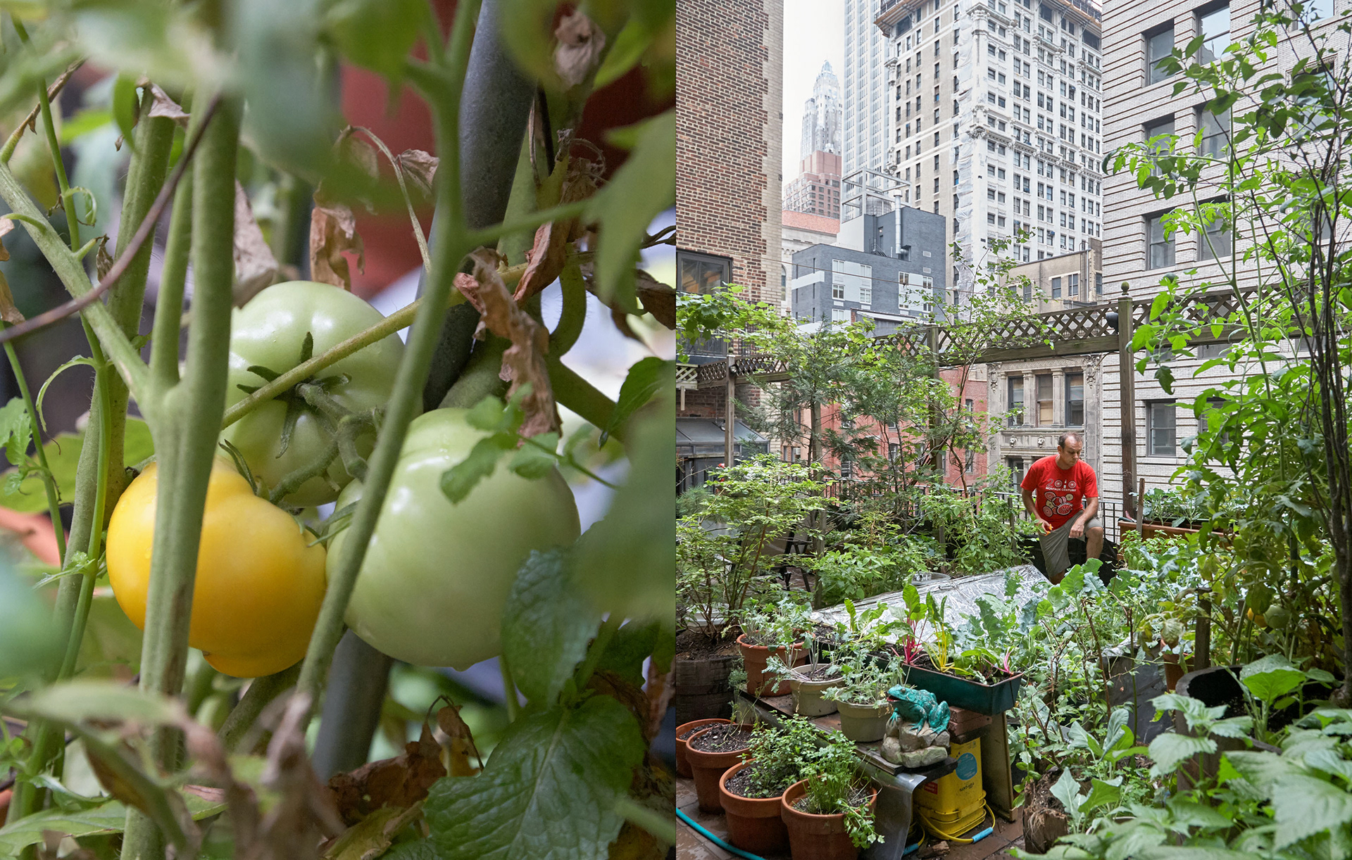 MARIANNE RAFTER IS A FASHION, PORTRAIT AND LIFESTYLE PHOTOGRAPHER BASED IN NEW YORK eating well