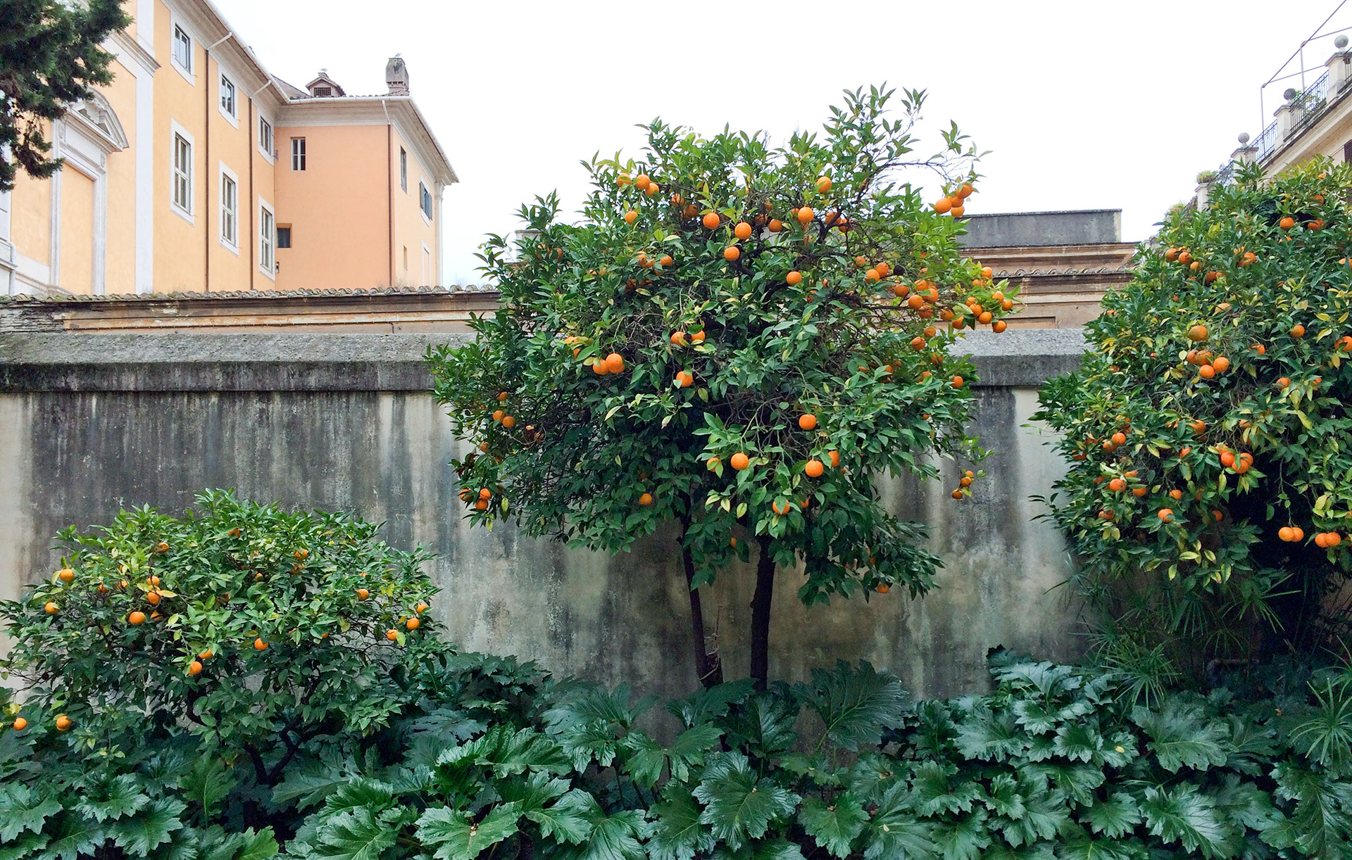 MARIANNE RAFTER IS A FASHION, PORTRAIT AND LIFESTYLE PHOTOGRAPHER BASED IN NEW YORK