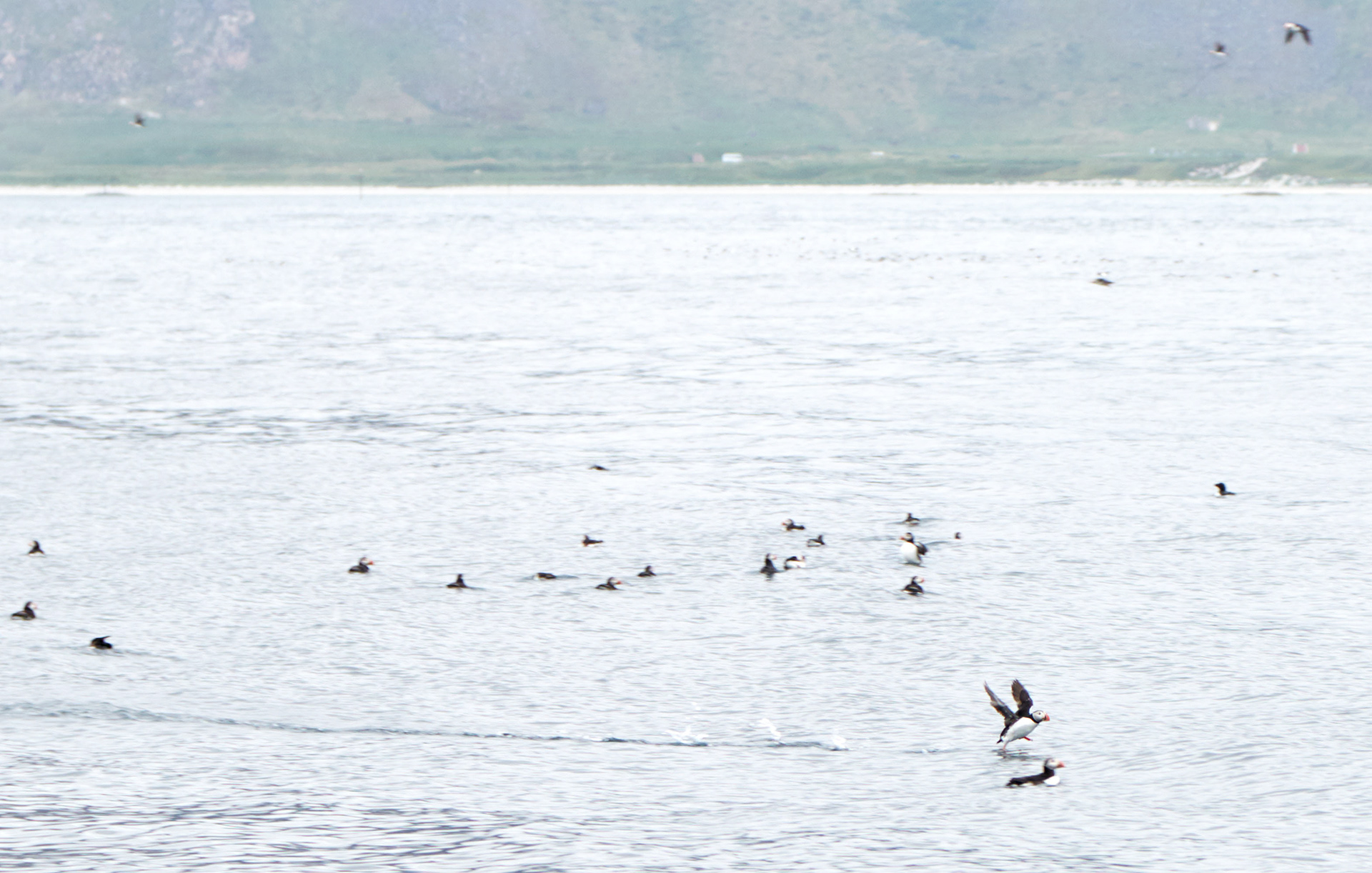 MARIANNE RAFTER IS A FASHION, PORTRAIT AND LIFESTYLE PHOTOGRAPHER NEW YORK