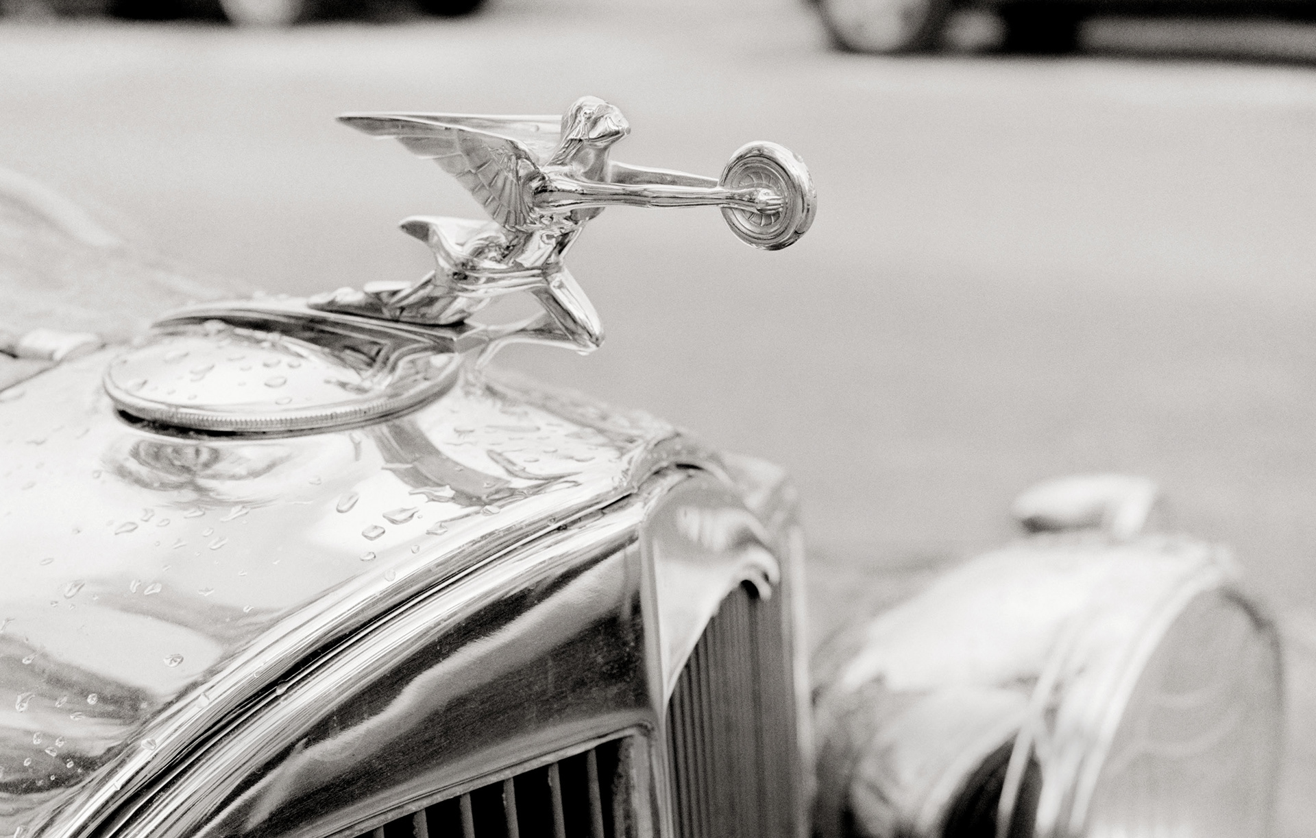 MARIANNE RAFTER IS A FASHION, PORTRAIT AND LIFESTYLE PHOTOGRAPHER BASED IN NEW YORK miami beach