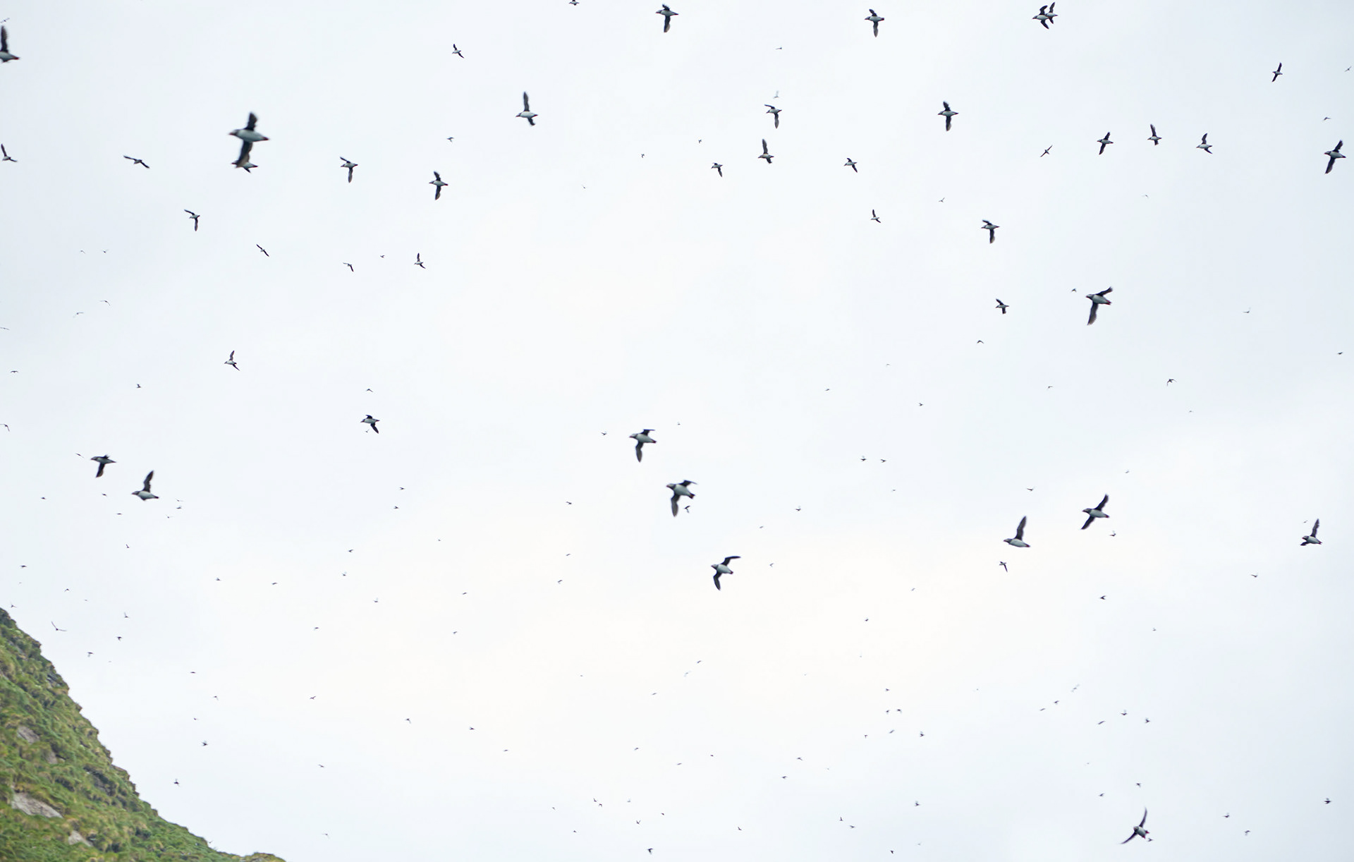 MARIANNE RAFTER IS A FASHION, PORTRAIT AND LIFESTYLE PHOTOGRAPHER NEW YORK