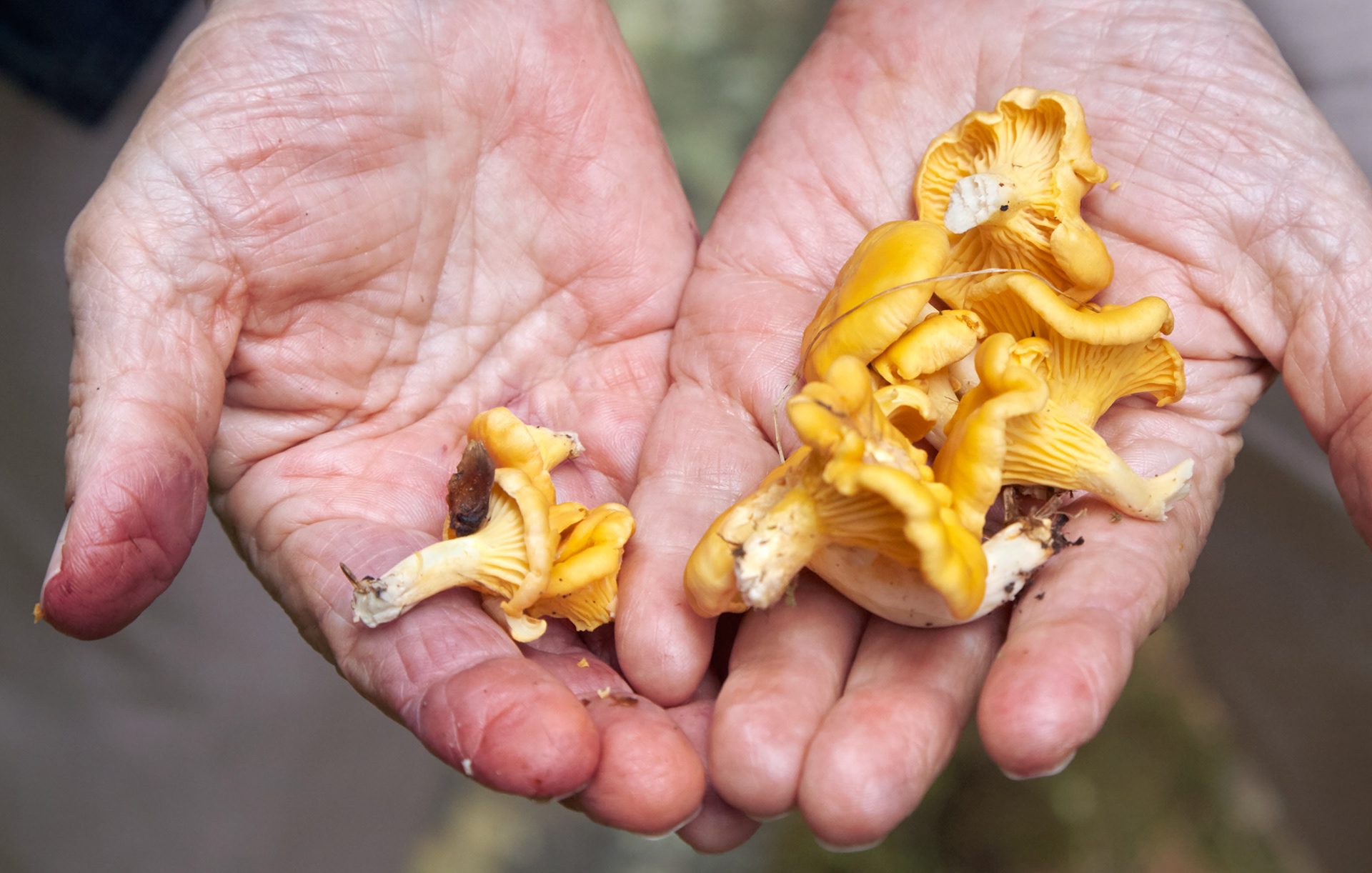 MARIANNE RAFTER IS A FASHION, PORTRAIT AND LIFESTYLE PHOTOGRAPHER BASED IN NEW YORK