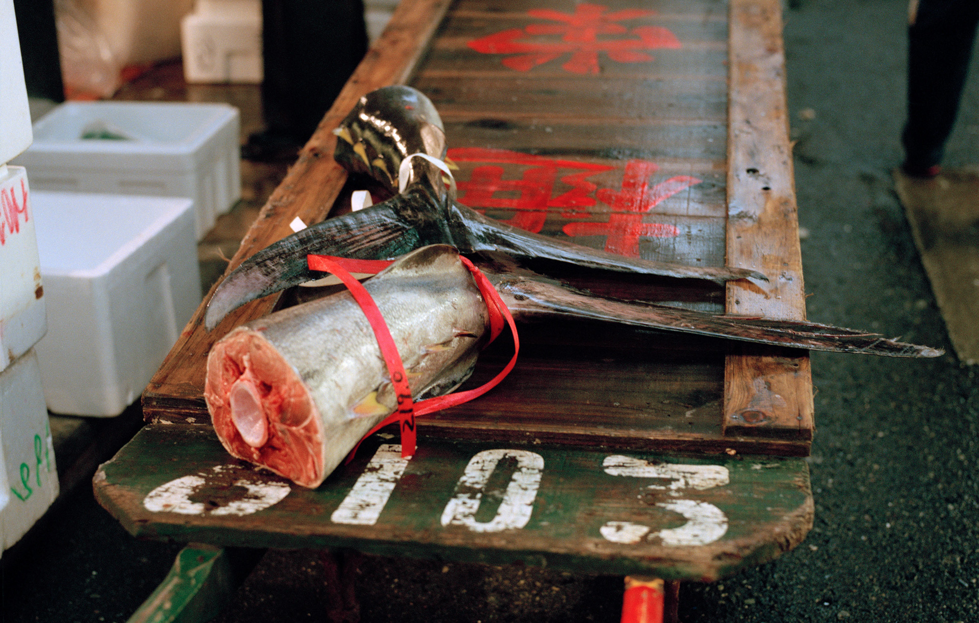 MARIANNE RAFTER IS A FASHION, PORTRAIT AND LIFESTYLE PHOTOGRAPHER BASED IN NEW YORK tsukiji tokyo fish market