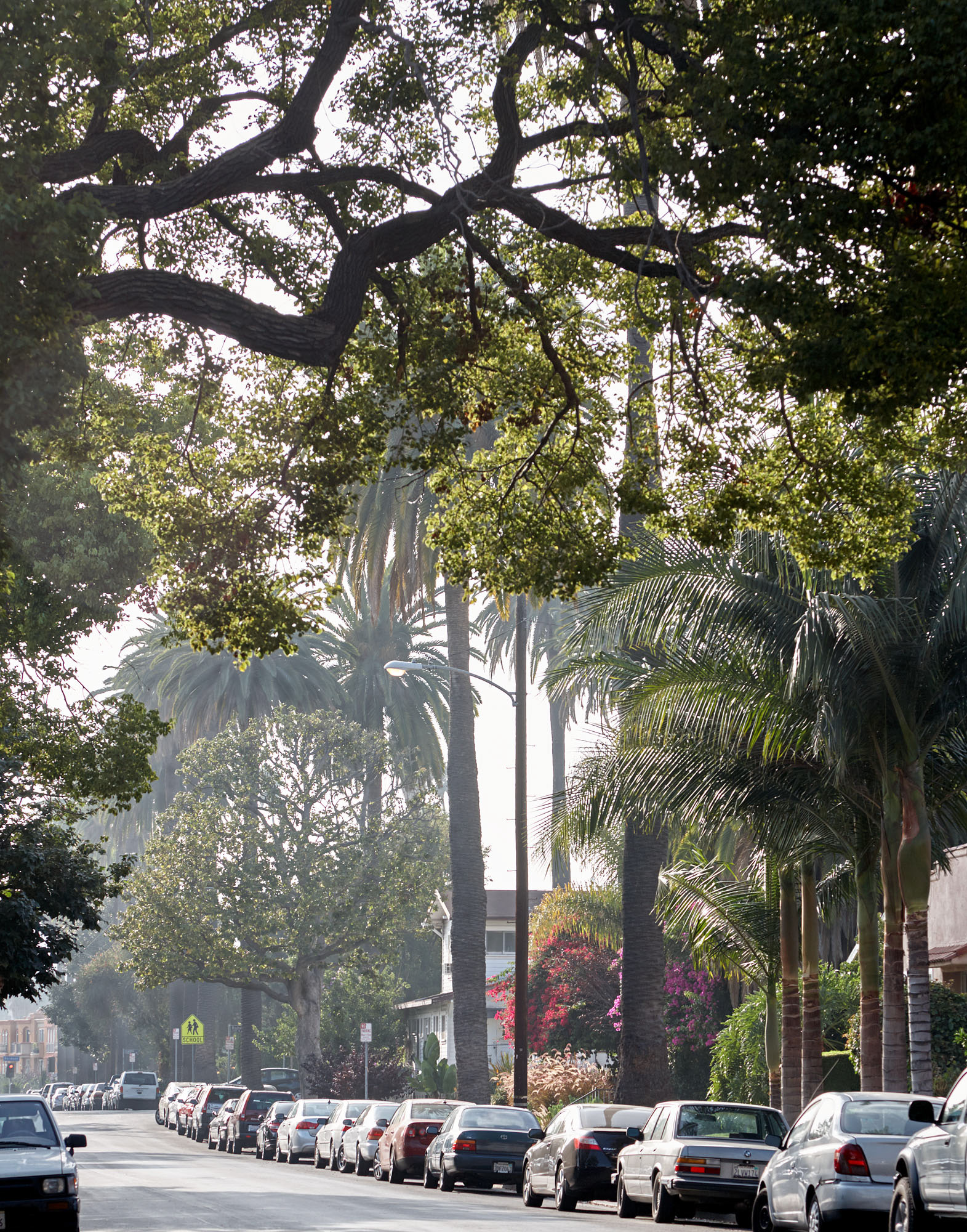 RAFTER IS A PORTRAIT LIFESTYLE PHOTOGRAPHER / DIRECTOR NEW YORK / OSLO