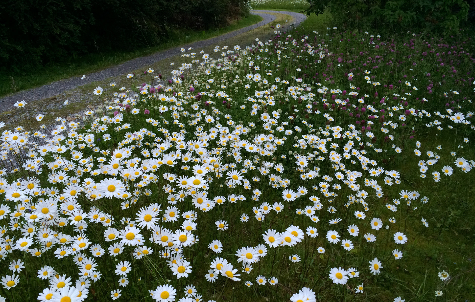 MARIANNE RAFTER IS A FASHION, PORTRAIT AND LIFESTYLE PHOTOGRAPHER BASED IN NEW YORK norwegian fjords mountains