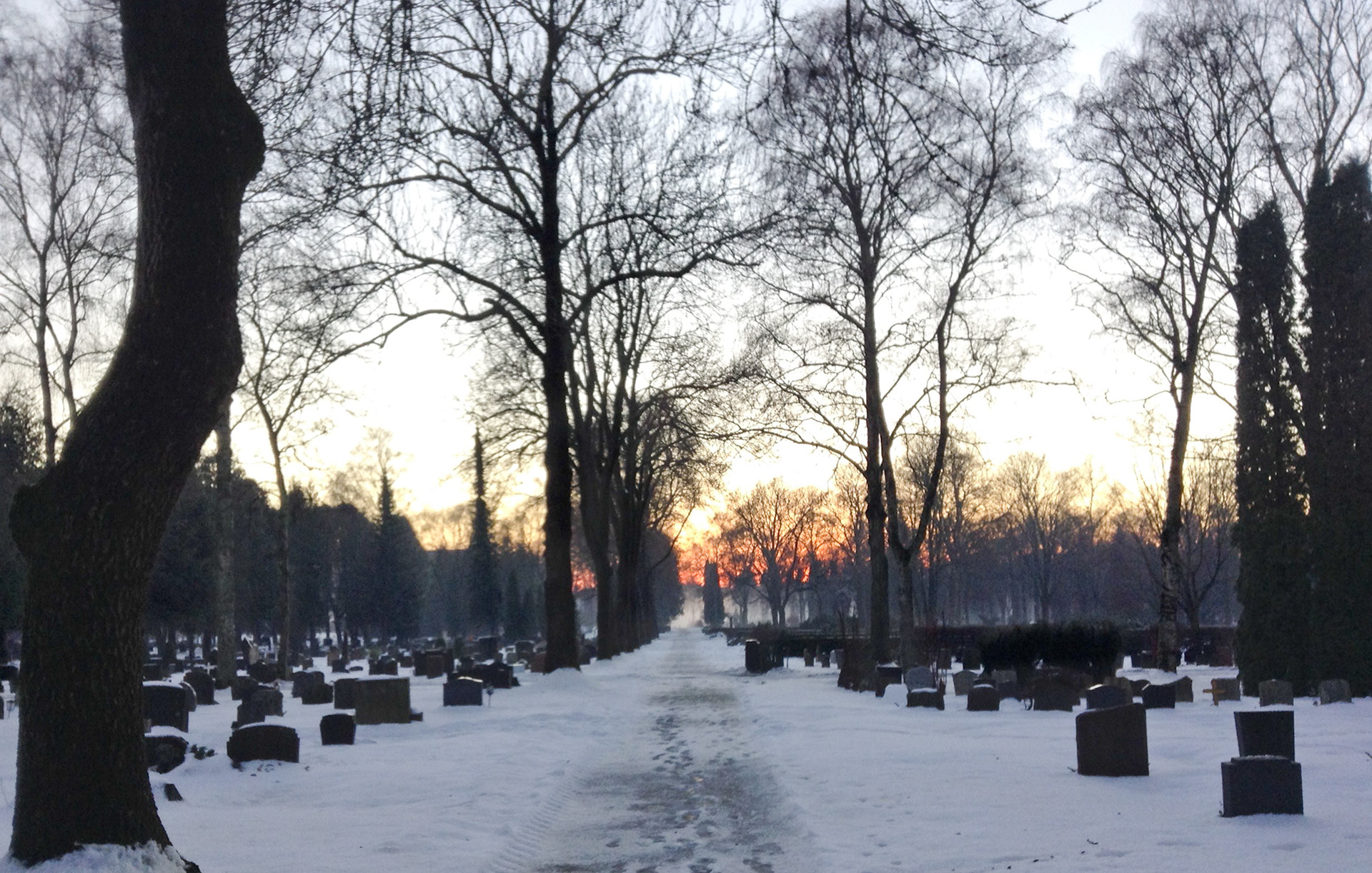 MARIANNE RAFTER IS A FASHION, PORTRAIT AND LIFESTYLE PHOTOGRAPHER BASED IN NEW YORK oslo