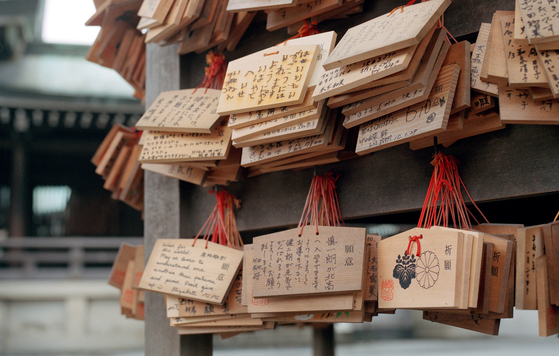 MARIANNE RAFTER IS A FASHION, PORTRAIT AND LIFESTYLE PHOTOGRAPHER BASED IN NEW YORK japan