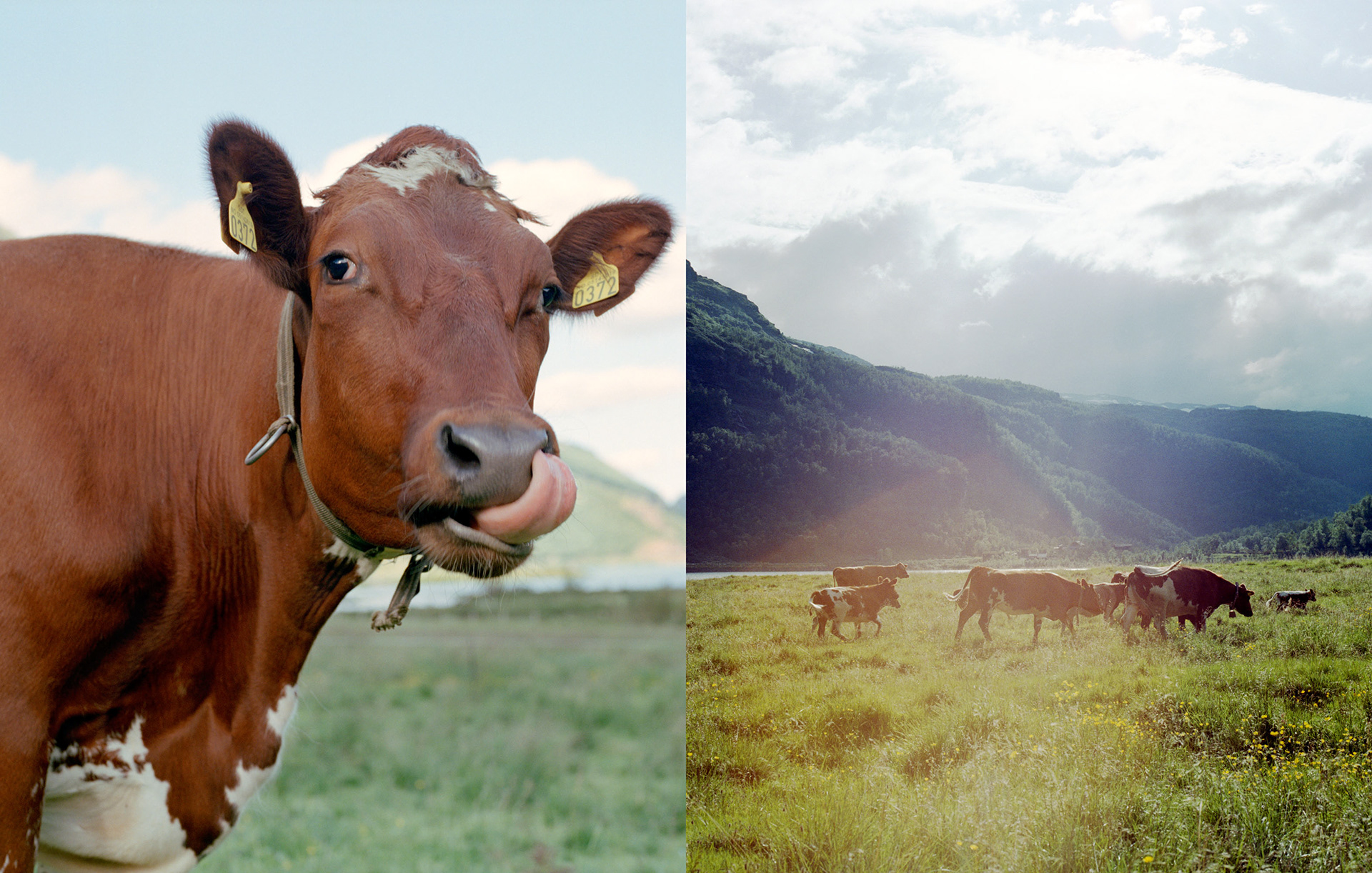 MARIANNE RAFTER IS A FASHION, PORTRAIT AND LIFESTYLE PHOTOGRAPHER BASED IN NEW YORK norwegian fjords mountains