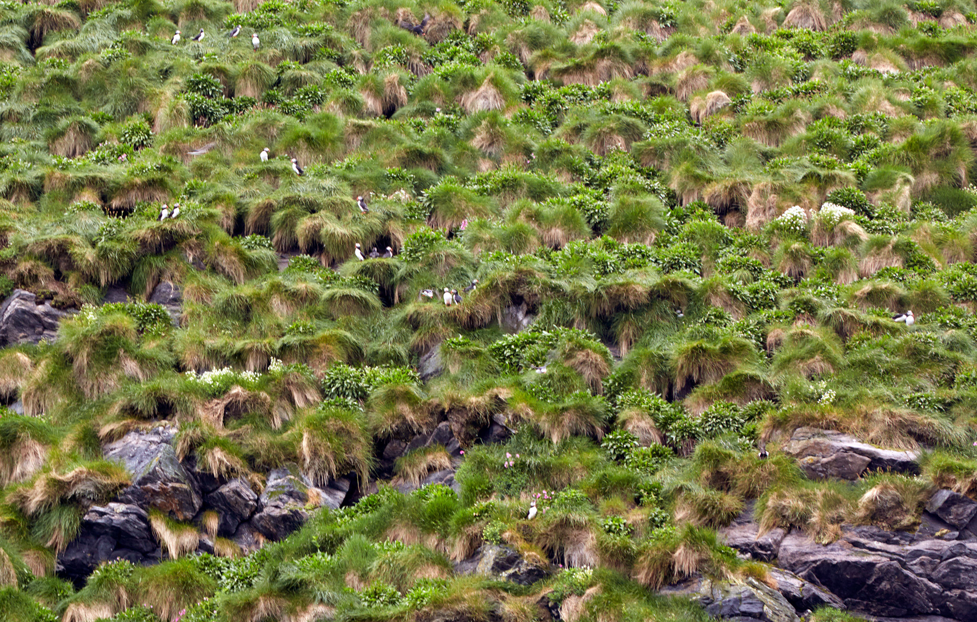 MARIANNE RAFTER IS A FASHION, PORTRAIT AND LIFESTYLE PHOTOGRAPHER NEW YORK