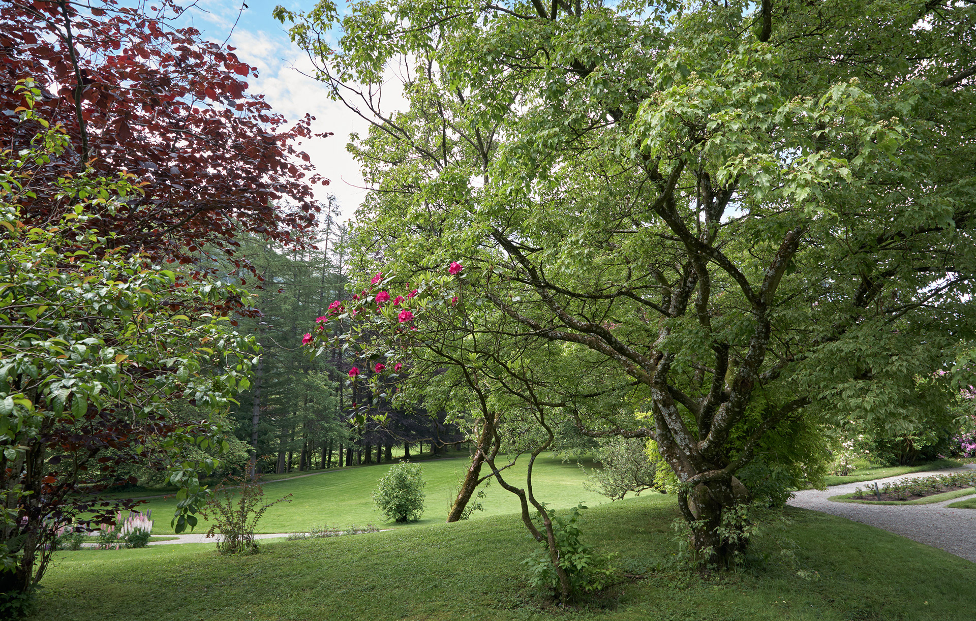 MARIANNE RAFTER IS A FASHION, PORTRAIT AND LIFESTYLE PHOTOGRAPHER BASED IN NEW YORK